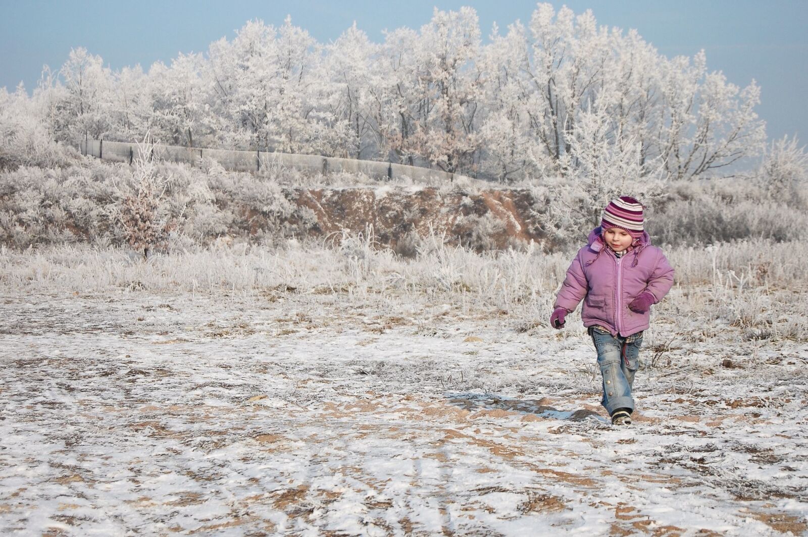 Nikon D40 sample photo. Child, tree, winter, snow photography