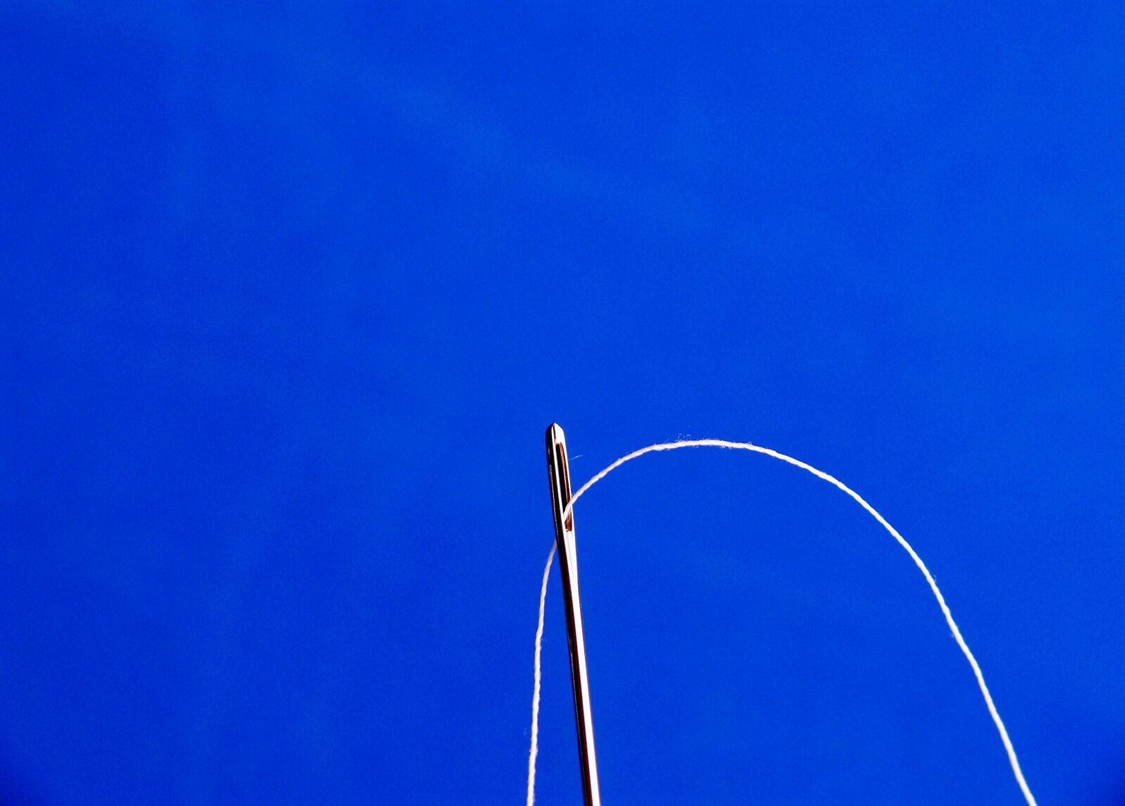 Leica V-LUX 1 sample photo. Needle, thread, needle and photography