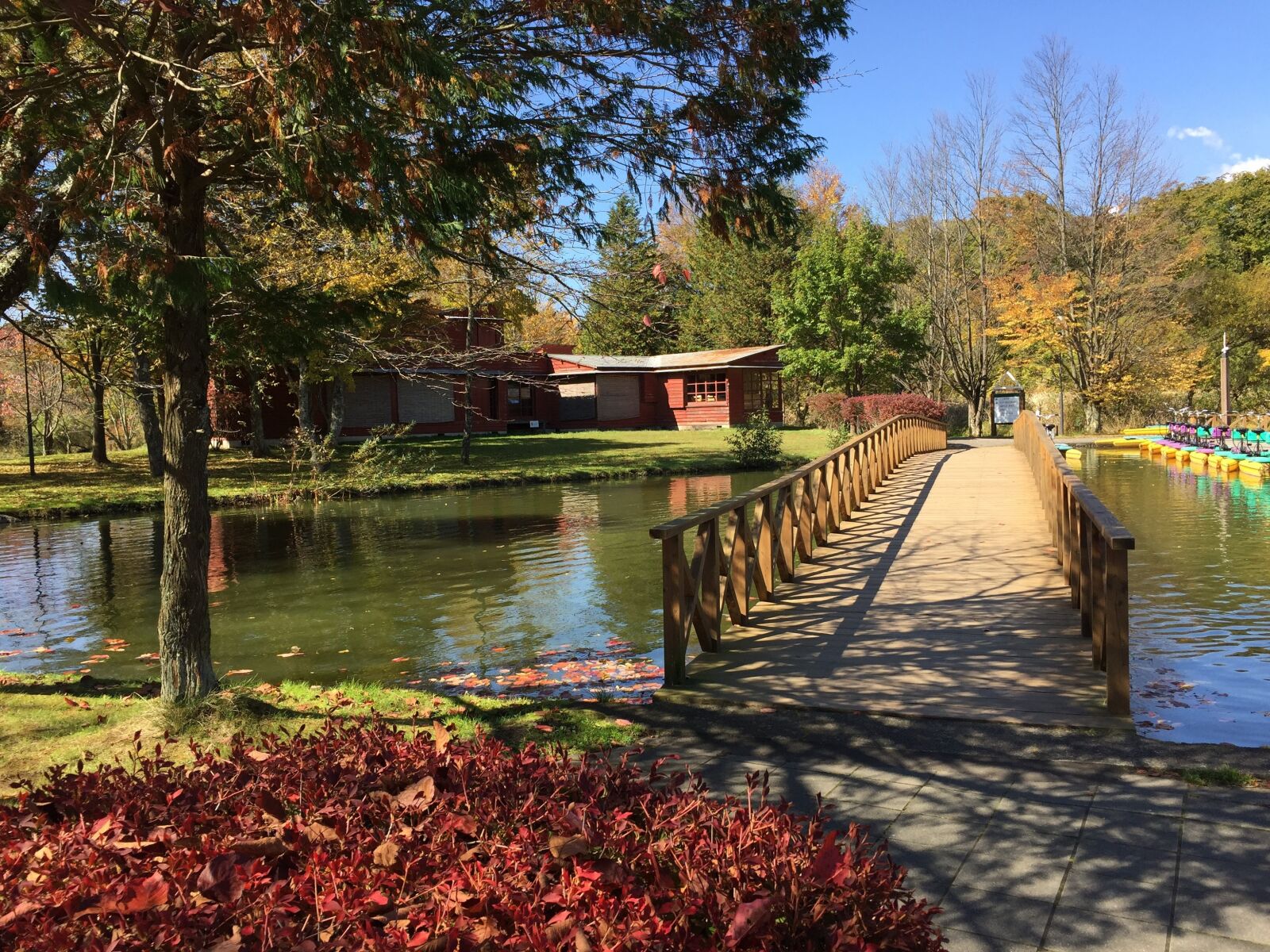 Apple iPhone 6 sample photo. Karuizawa, taliesin, pond photography