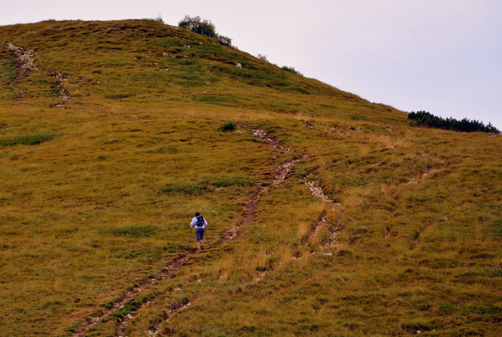 Nikon D7100 sample photo. Trail, hiking, ascent photography