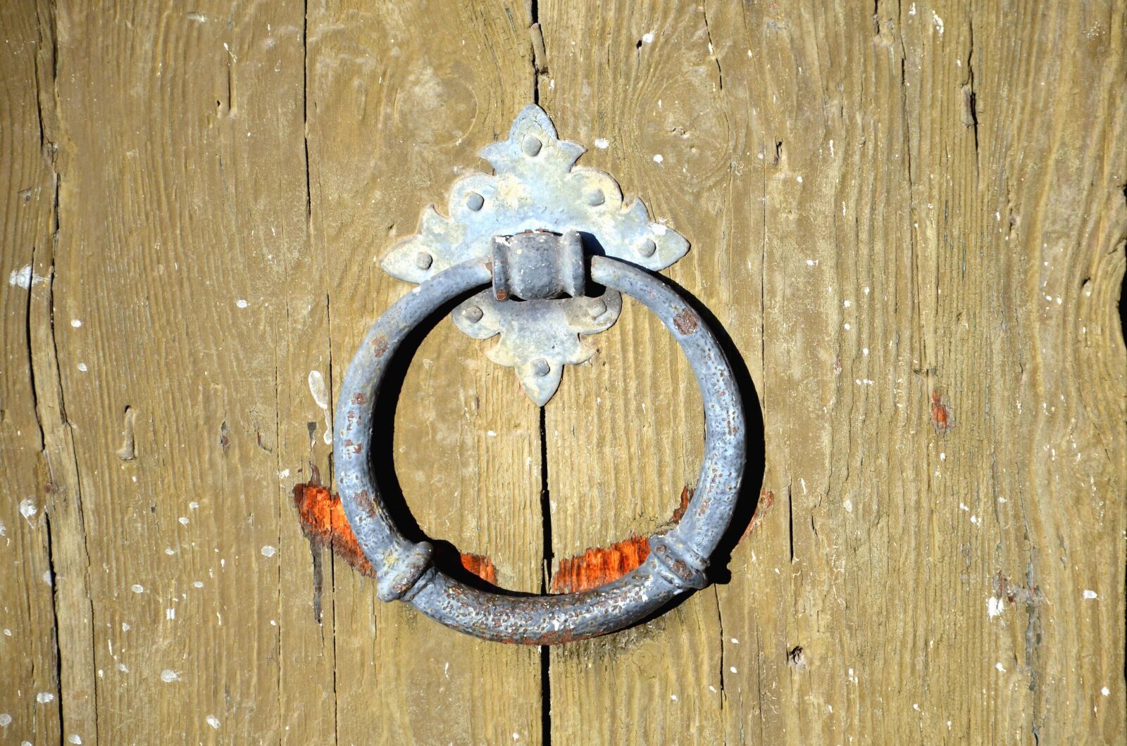 Nikon D5100 sample photo. Doors, antique, ring, metal photography