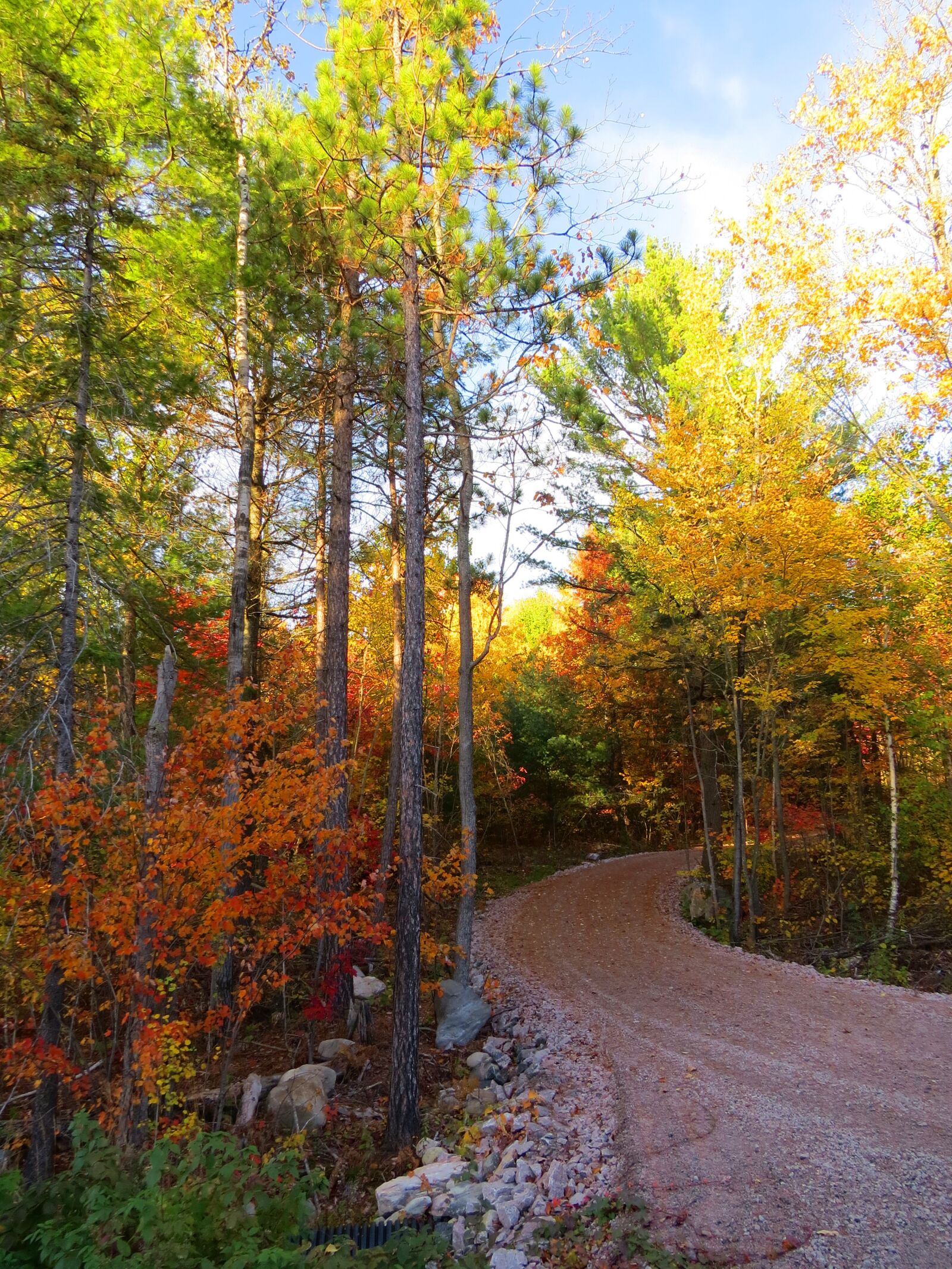 Canon PowerShot SX50 HS sample photo. Autumn road, pathway, landscape photography