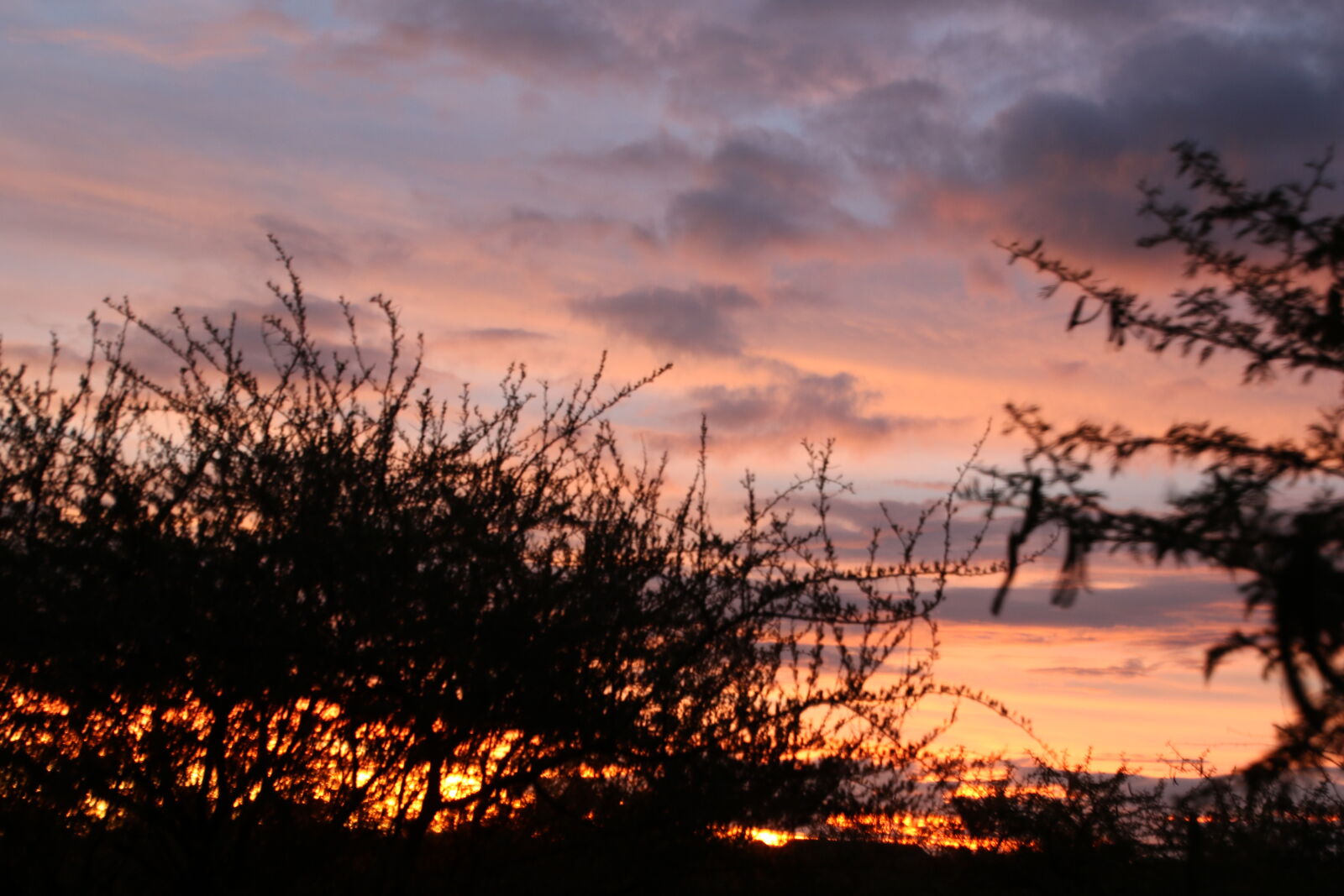 Canon EOS 7D Mark II sample photo. Bushveld, clouds, red, sky photography