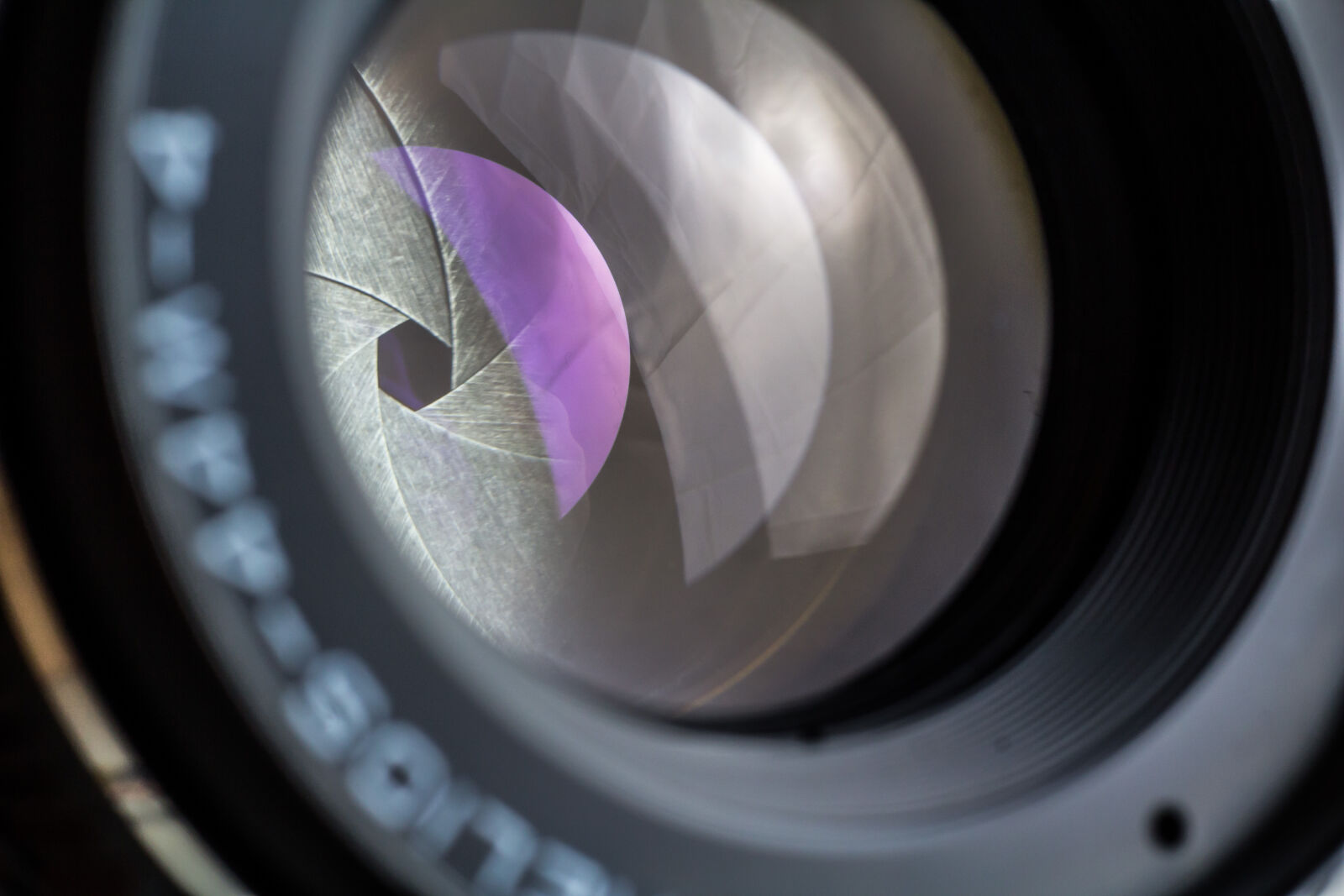 Canon EOS 60D + Canon EF 50mm F1.8 STM sample photo. Camera, lens photography