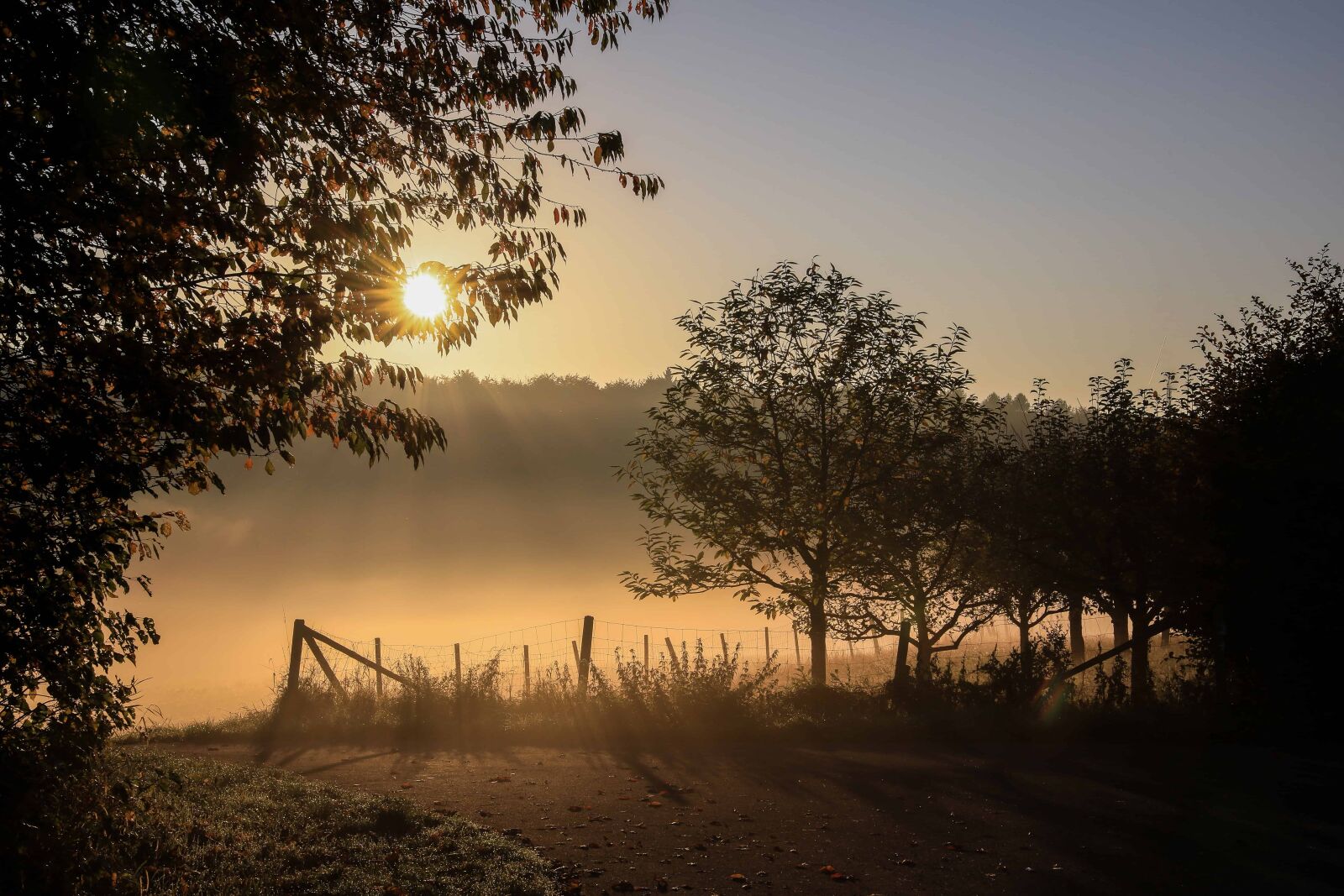 Canon EOS 5D Mark IV sample photo. Nature, fog, sunset, sky photography