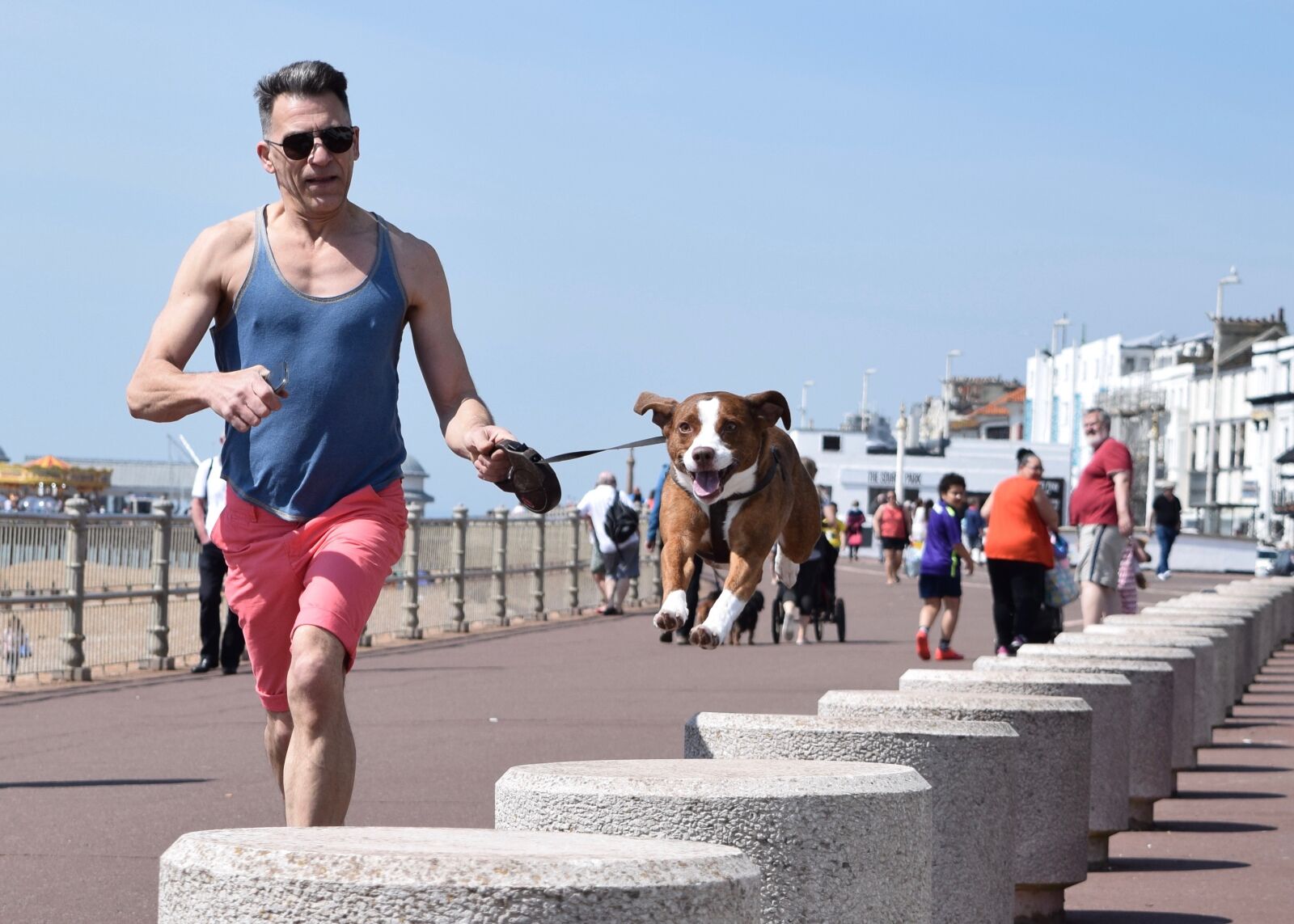 Nikon D3300 sample photo. Dog, hastings, beach photography