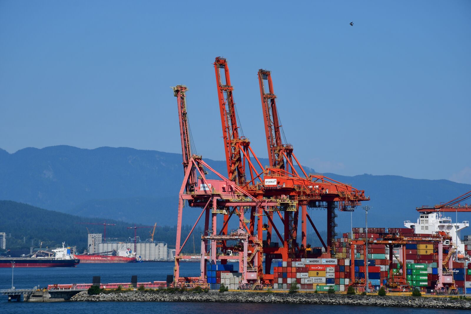 Nikon D7500 sample photo. Port crane, crane, container photography