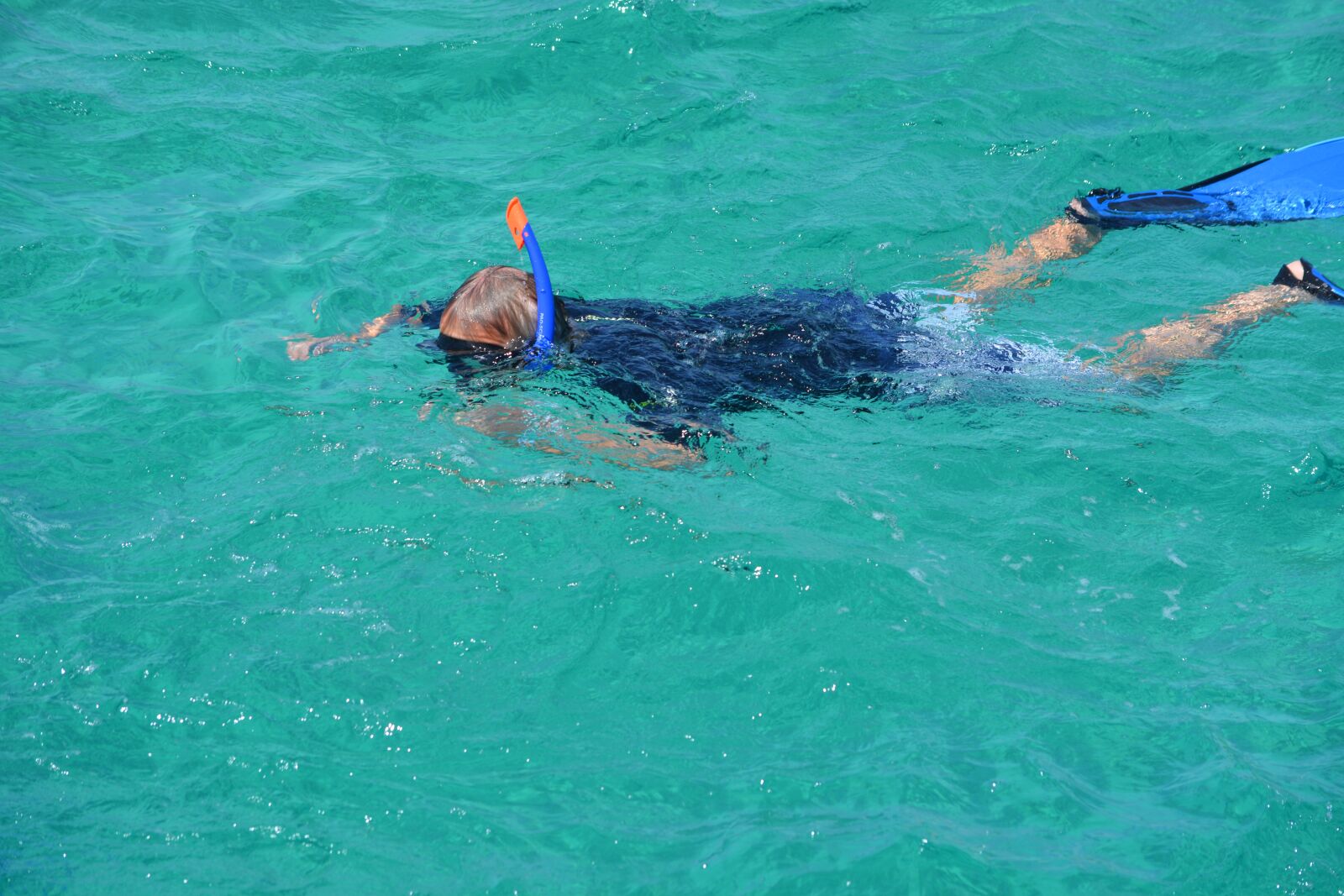 Nikon D5200 sample photo. Snorkeling, sea, egypt photography