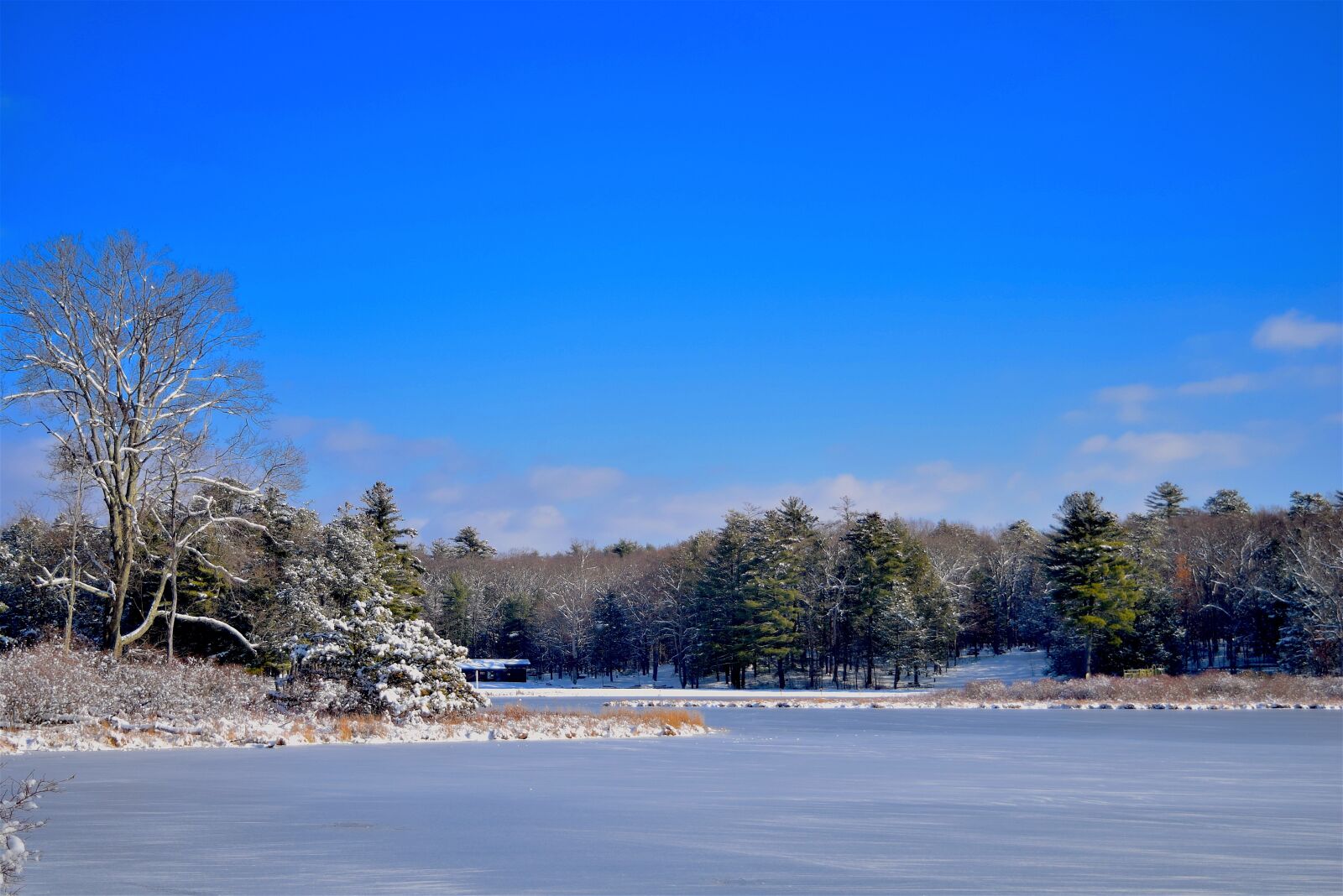 Nikon D3300 sample photo. Lake, winter, snow photography