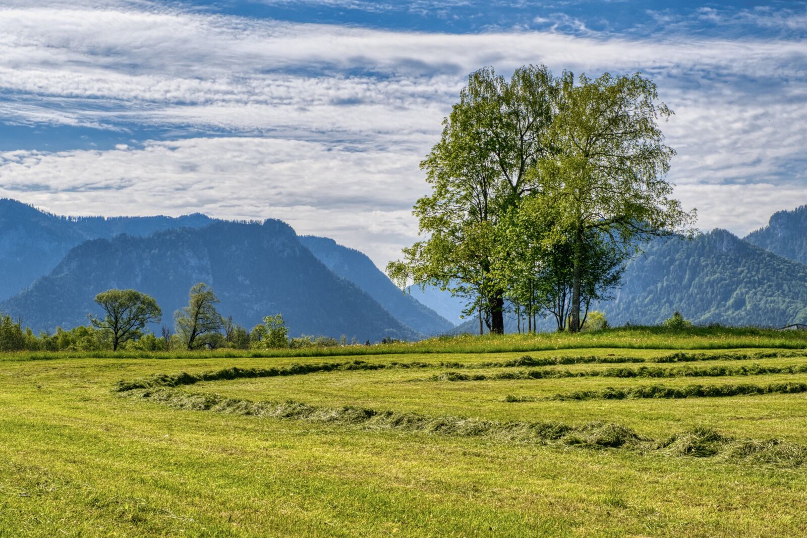 Nikon D7500 sample photo. Landscape, upper bavaria, chiemgau photography