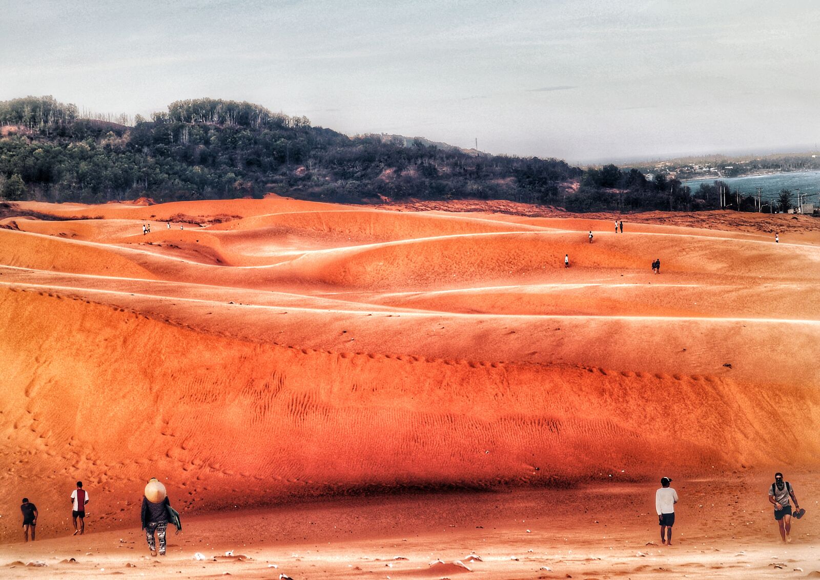 Canon EOS M50 (EOS Kiss M) sample photo. Dune, landscape, wanderer photography