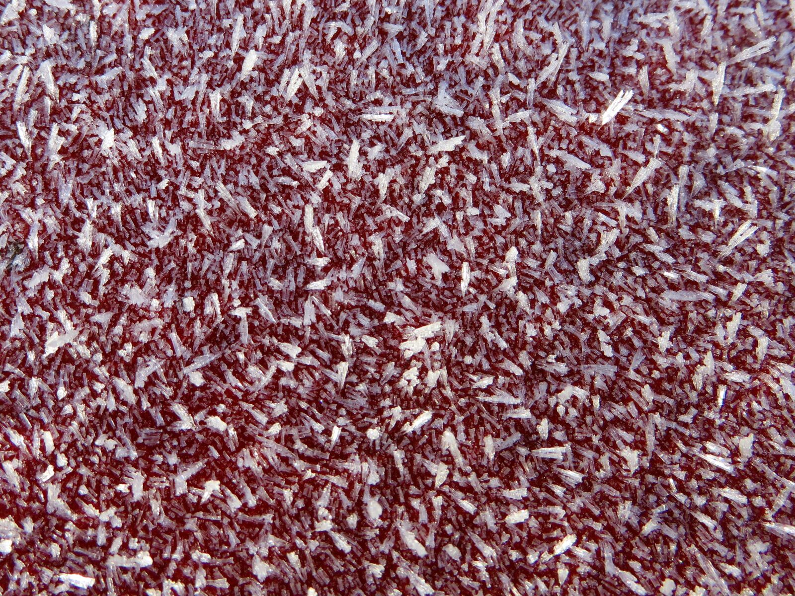 Canon PowerShot SX700 HS sample photo. Gel, cold, red photography