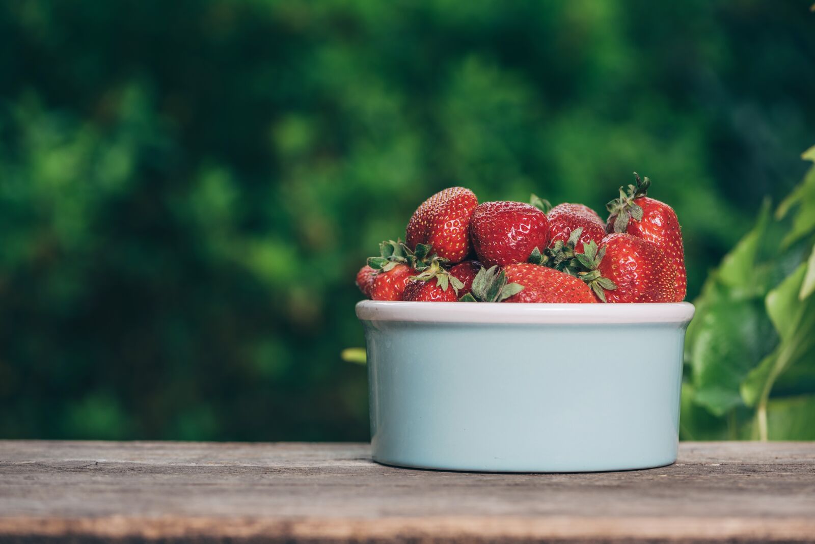 Nikon D750 sample photo. Strawberry, spring, fruit photography