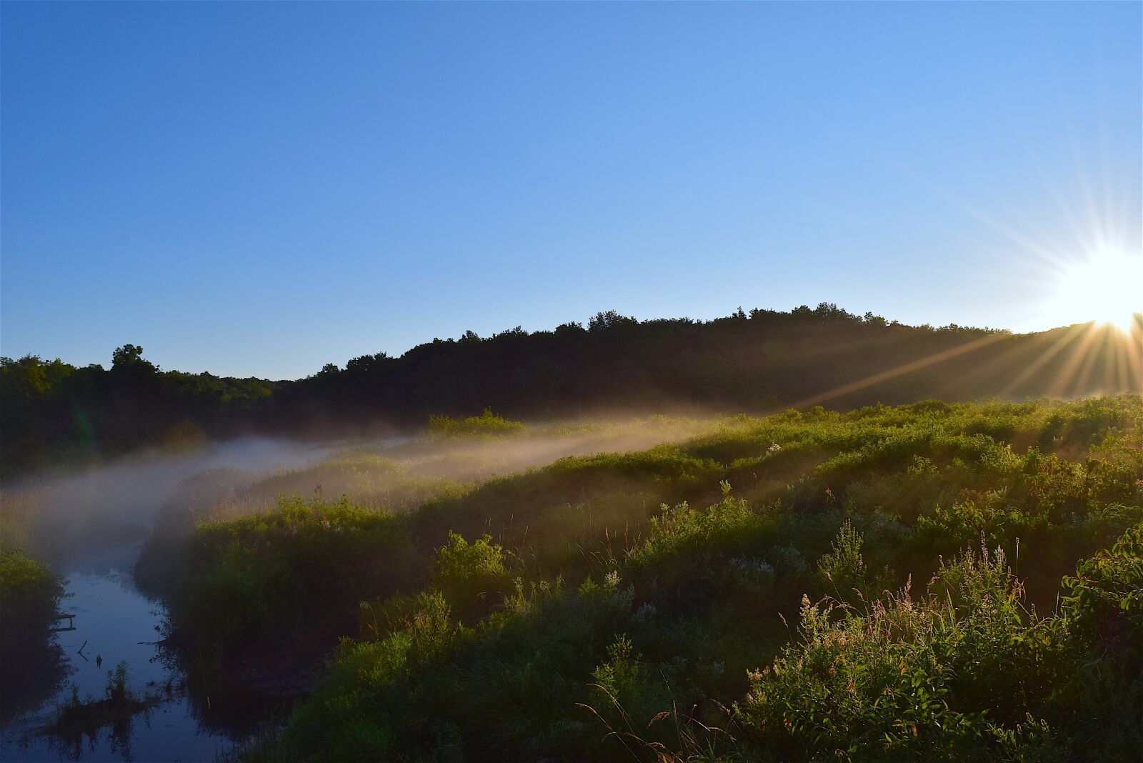 Nikon D3300 sample photo. Sunrise, mist, brush photography