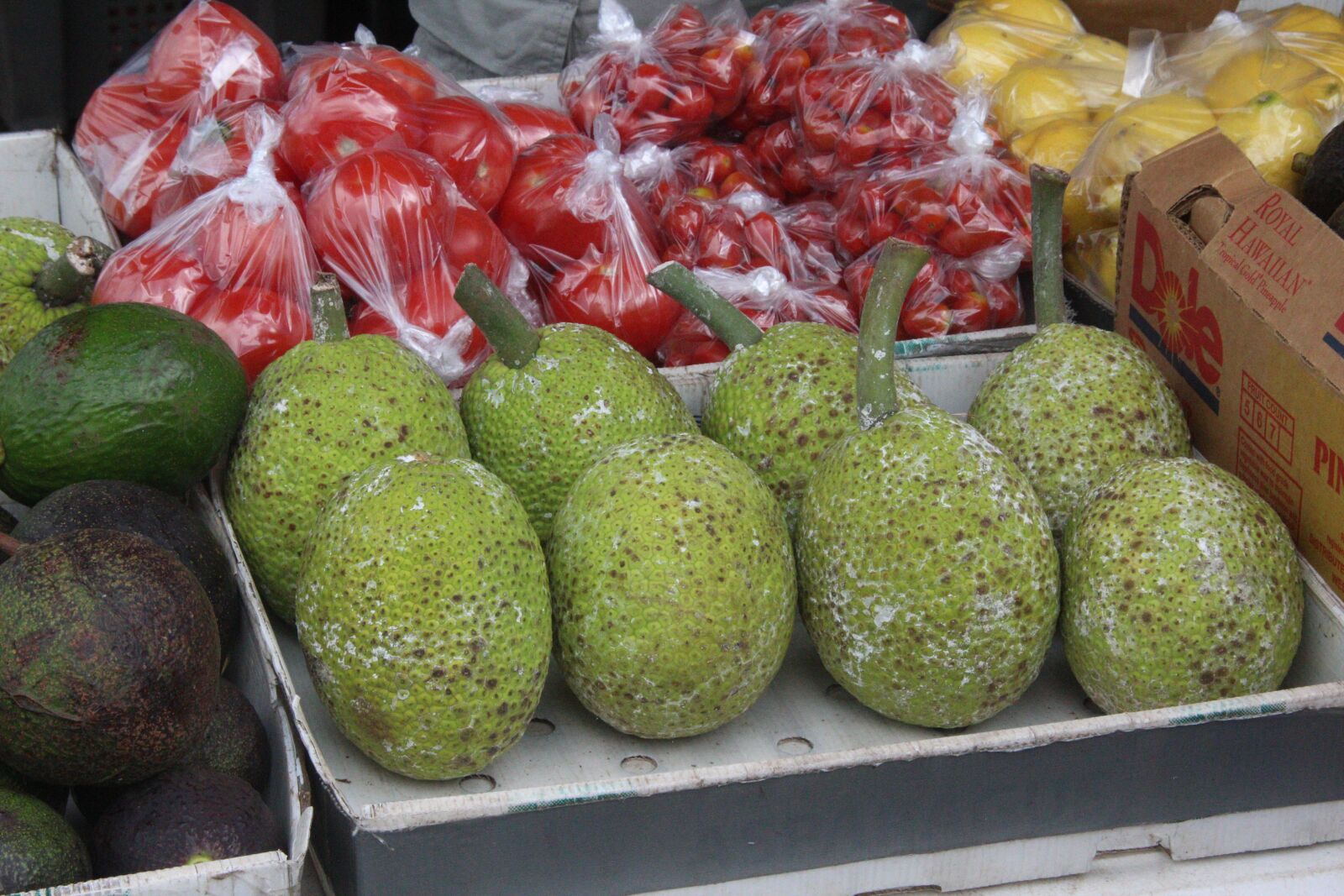 Canon EOS 600D (Rebel EOS T3i / EOS Kiss X5) sample photo. Fruit, hawaii, farmers market photography