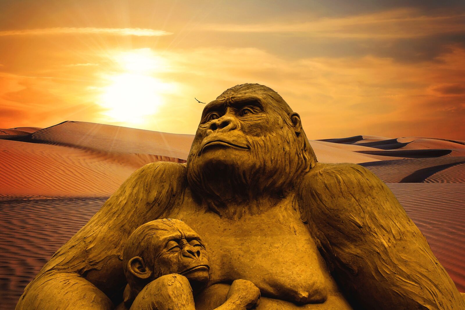 Canon EF-S 24mm F2.8 STM sample photo. Monkey, desert, sunset photography