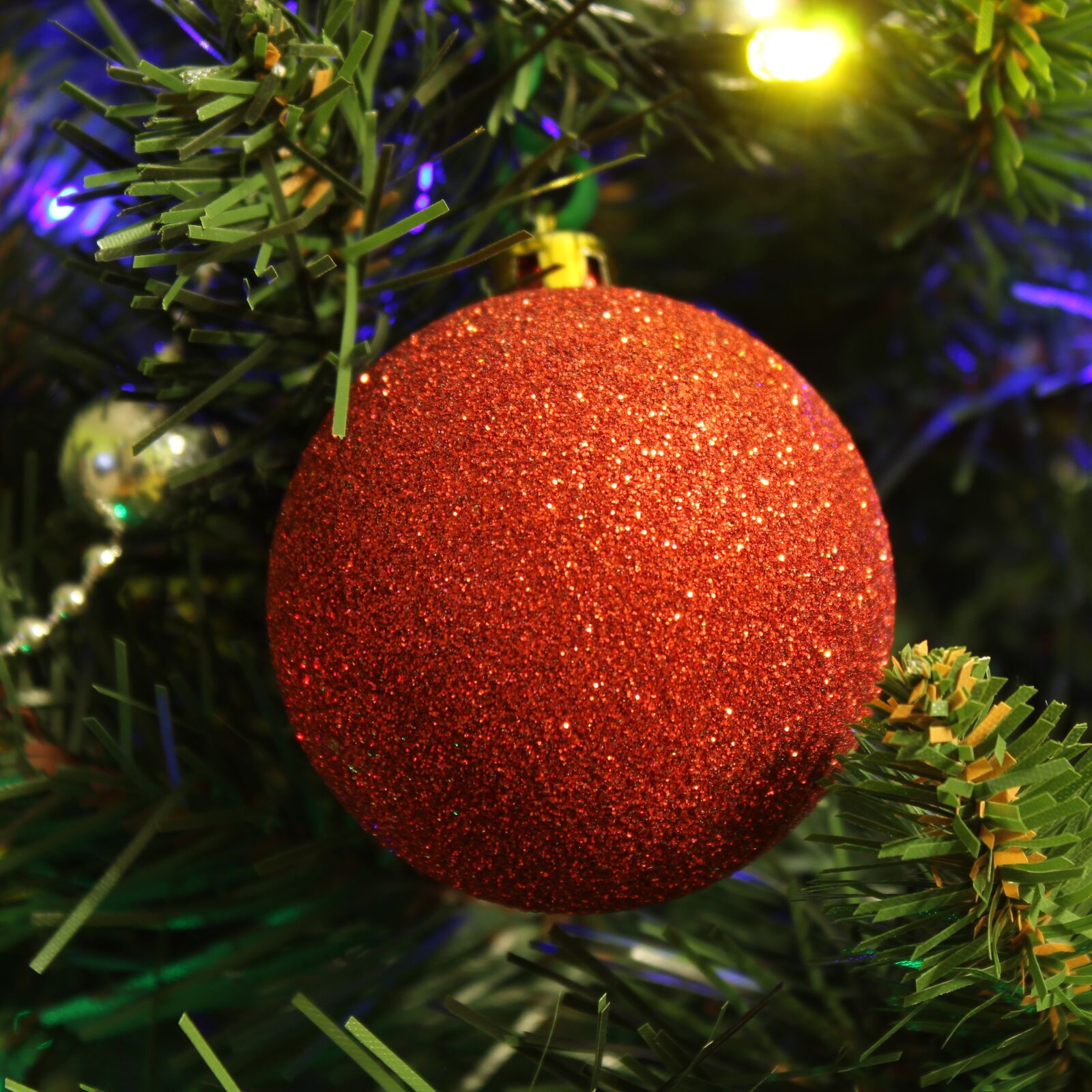Canon EOS 4000D (EOS Rebel T100 / EOS 3000D) sample photo. Bauble, ornament, christmas tree photography