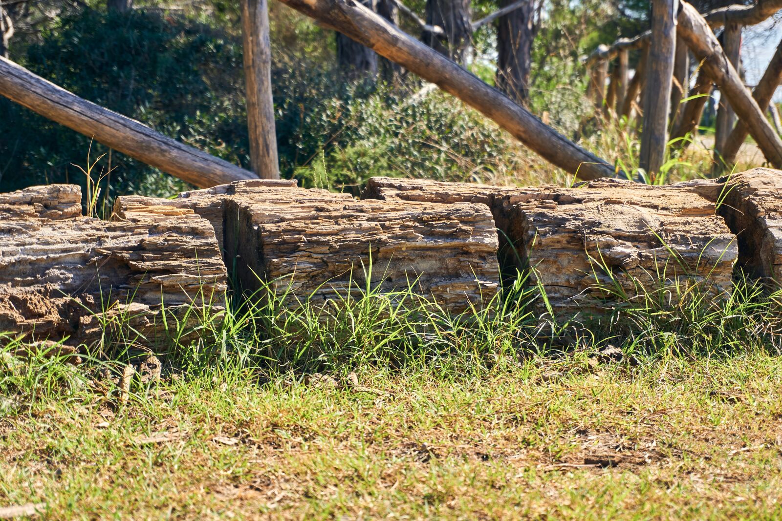 Sony a6400 sample photo. Bike racks, log, rustic photography