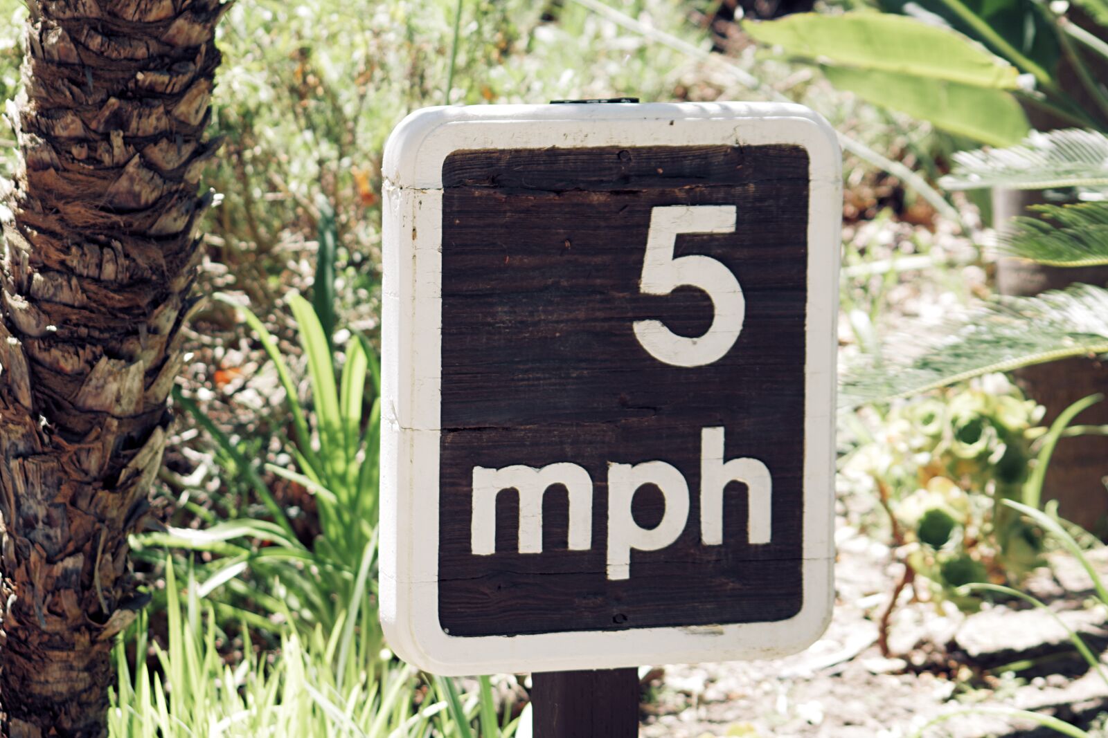 Canon EOS 750D (EOS Rebel T6i / EOS Kiss X8i) sample photo. Sign, plaque, signage photography