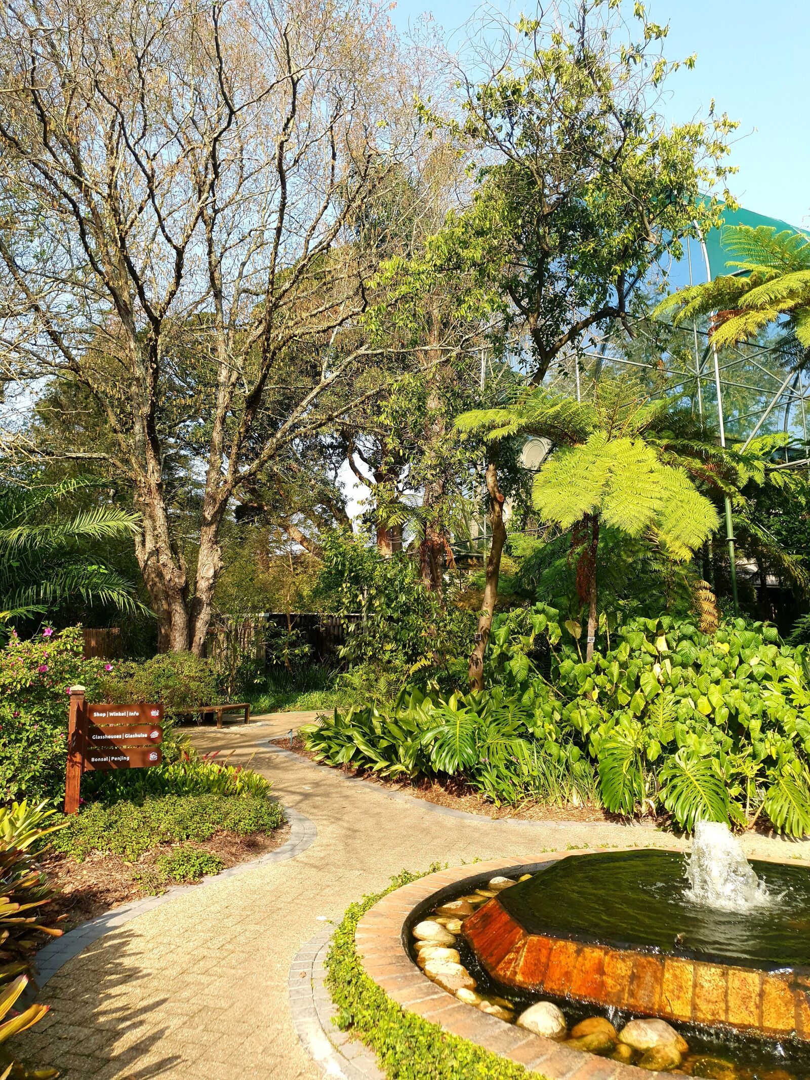 Samsung Galaxy S10 sample photo. Botanical garden, trees, stellenbosch photography