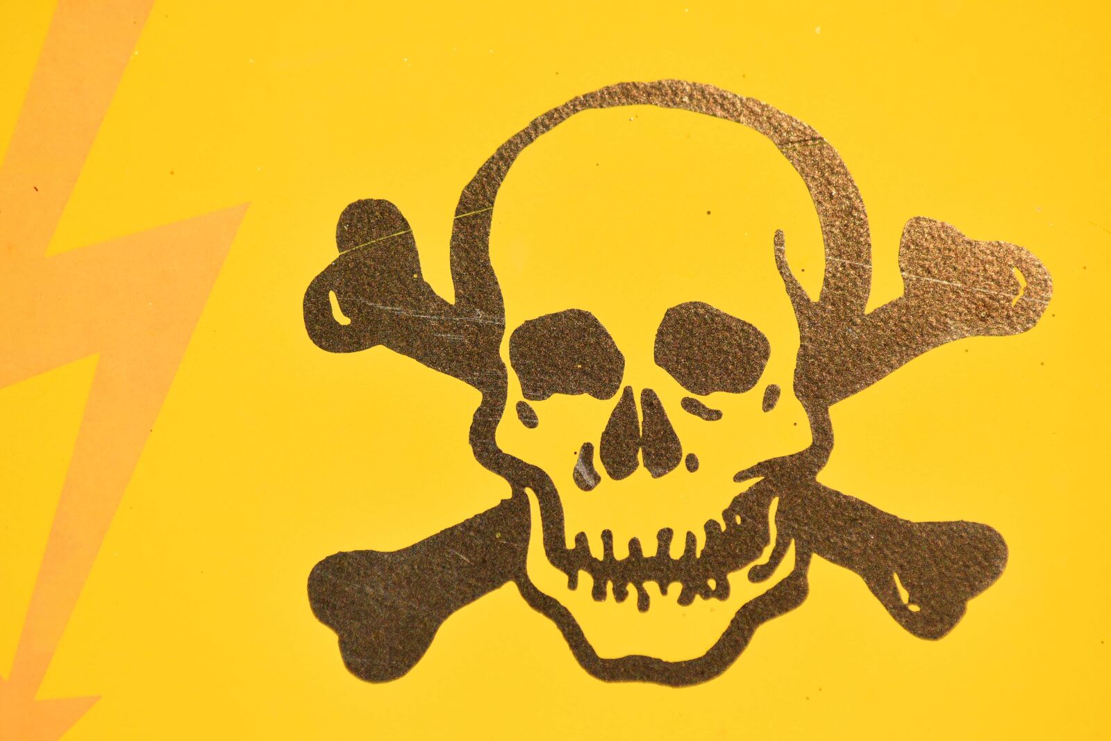 Nikon D5500 sample photo. Danger, electricity, sign, skull photography