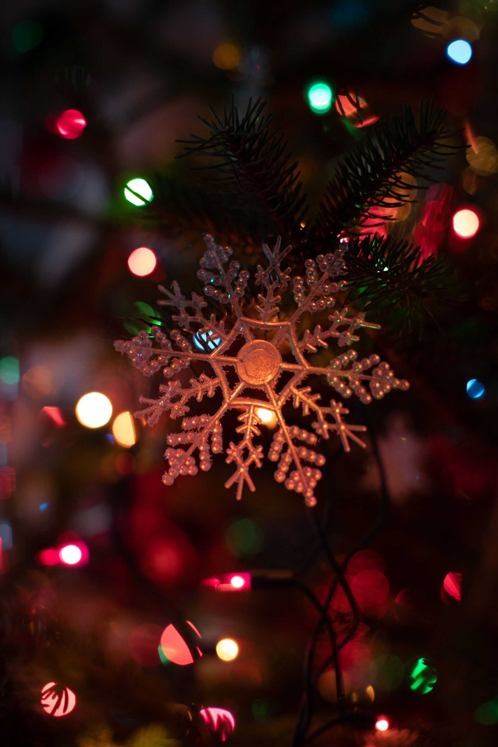 Canon EOS 5D Mark IV + Canon EF 50mm F1.2L USM sample photo. Christmas, christmas lights, ornaments photography