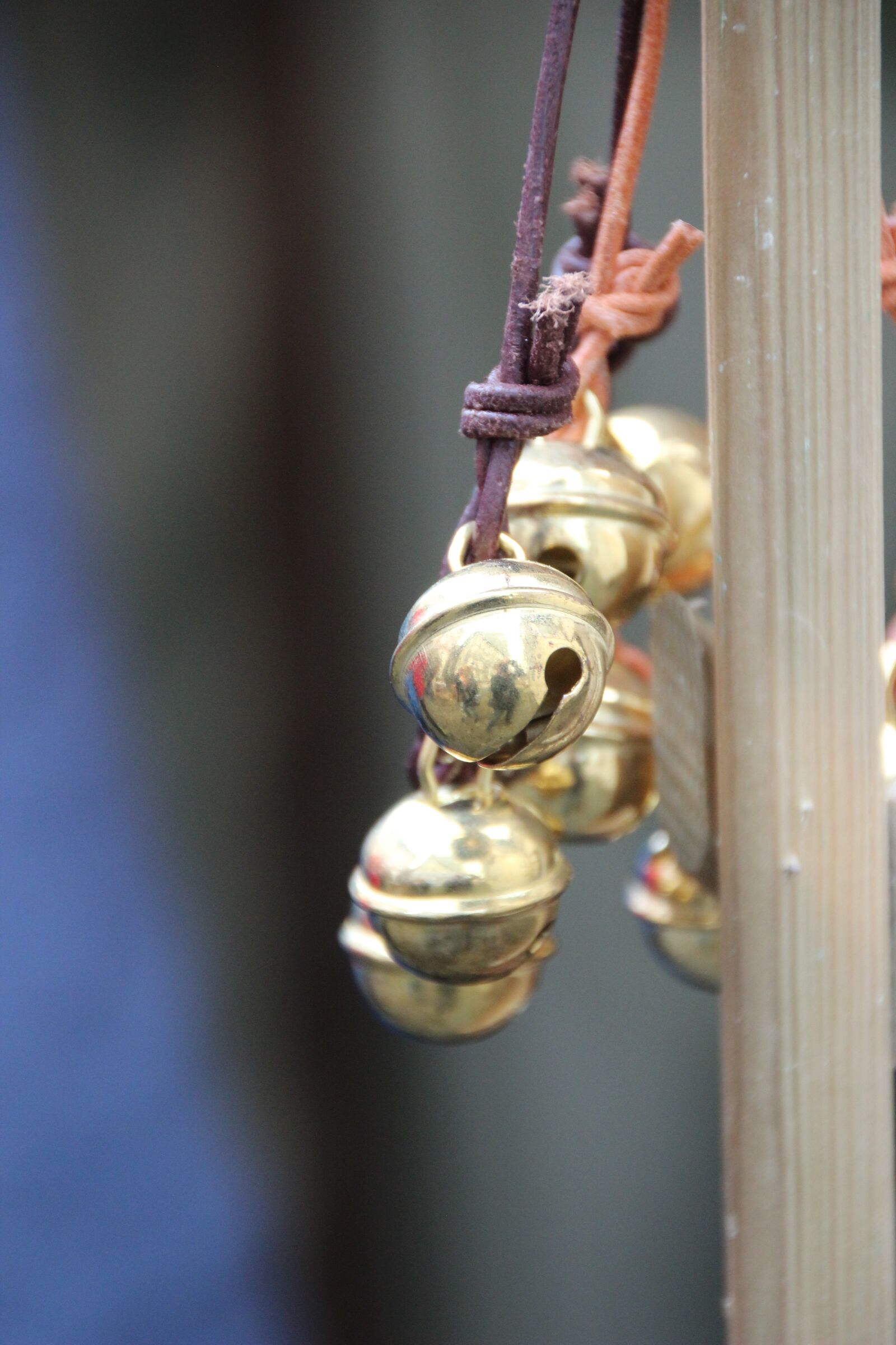 Canon EOS 600D (Rebel EOS T3i / EOS Kiss X5) sample photo. Bell, bells, clamps photography