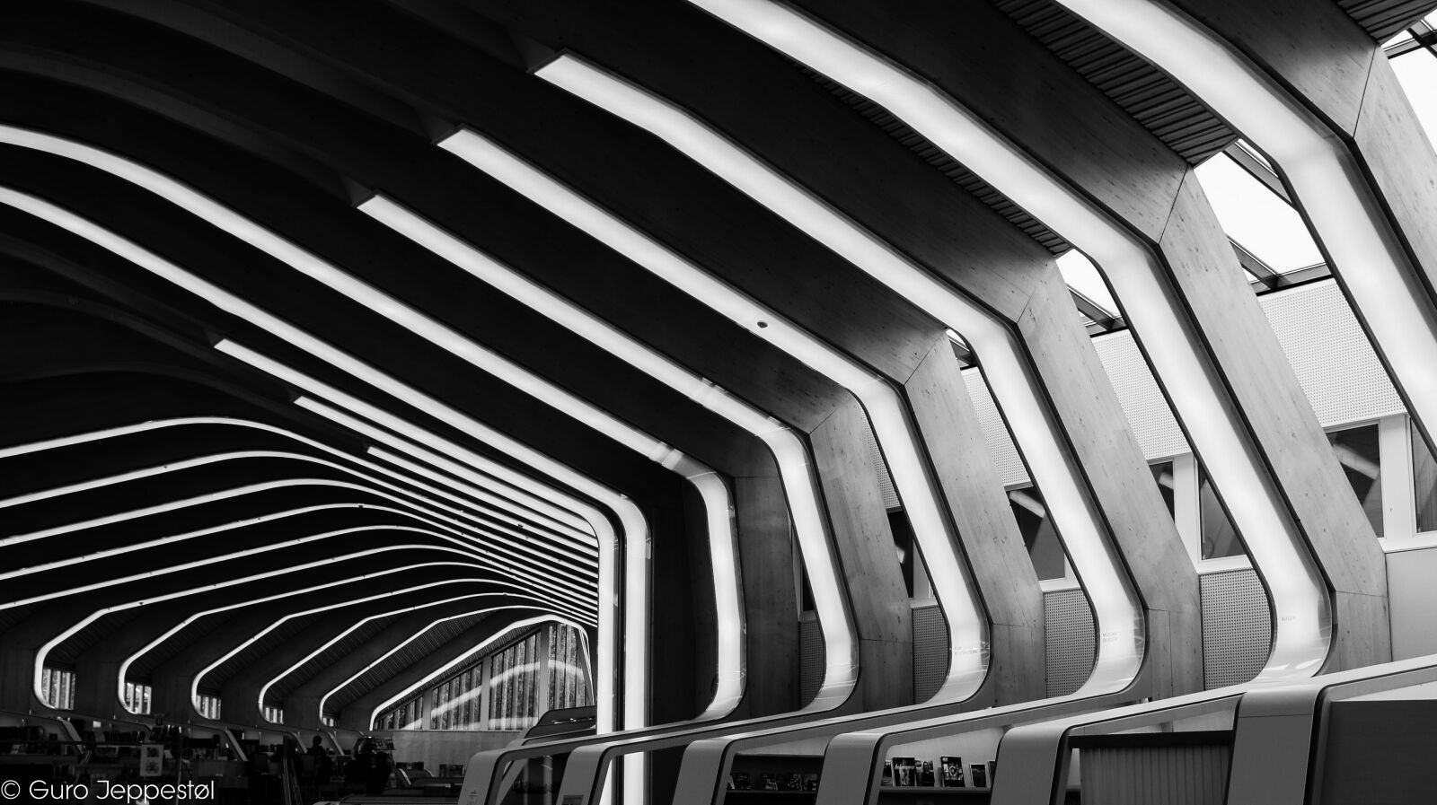 Sony DT 18-200mm F3.5-6.3 sample photo. Libary, black and white photography