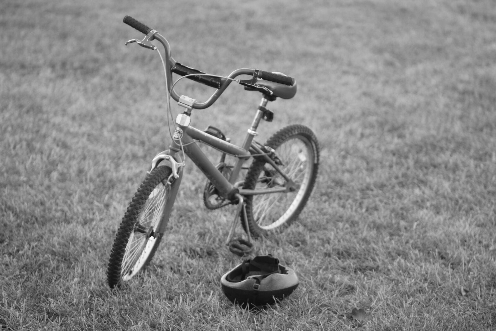Canon EF 85mm F1.8 USM sample photo. Bike, field, grass photography