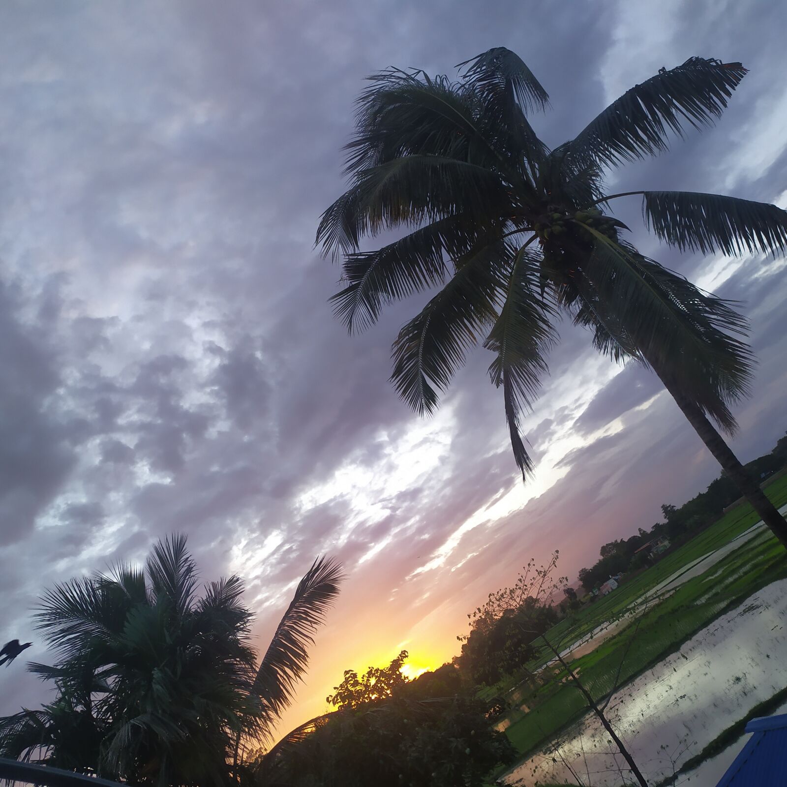 Xiaomi Redmi Note 7 sample photo. Sunset, nature, evening photography