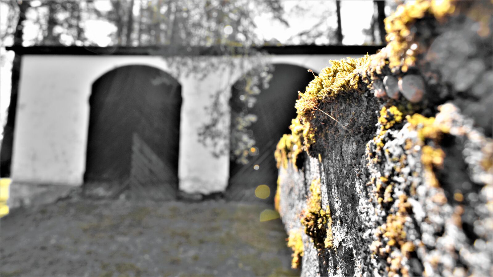 Nikon D3300 sample photo. Old, building, the doors photography