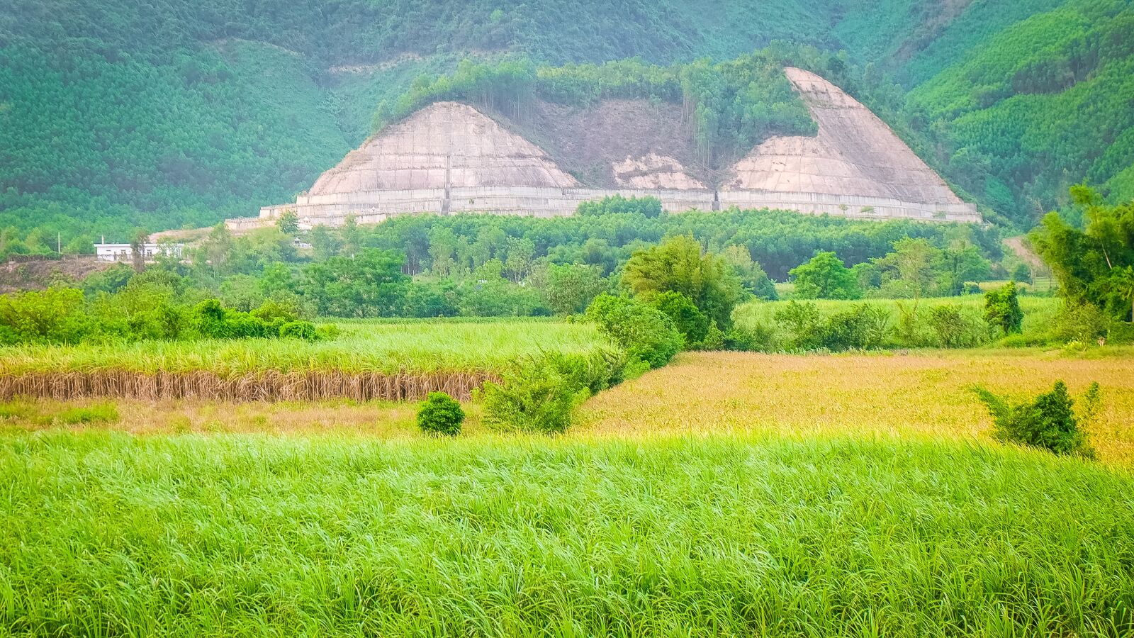Fujifilm X-M1 sample photo. Field, rice, landscape photography