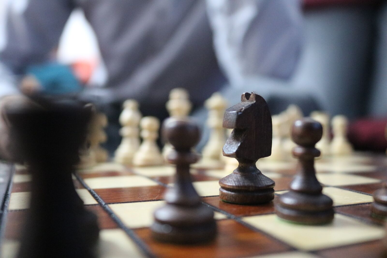 Canon EOS 750D (EOS Rebel T6i / EOS Kiss X8i) sample photo. Chess, horse, chess board photography