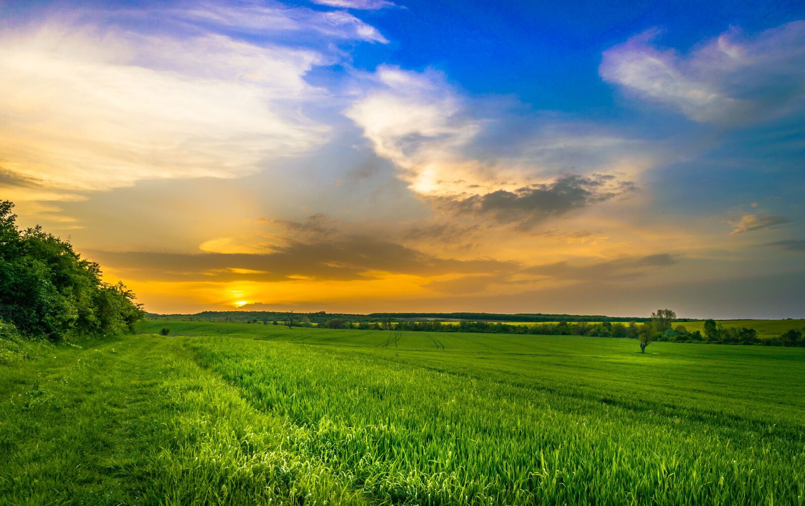 Nikon D3300 sample photo. Clouds, meadow, lawn photography