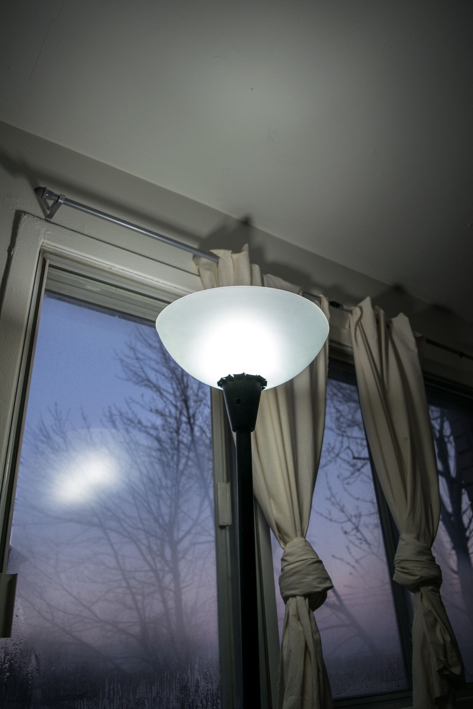 Nikon D3300 sample photo. Winter, light, sky photography