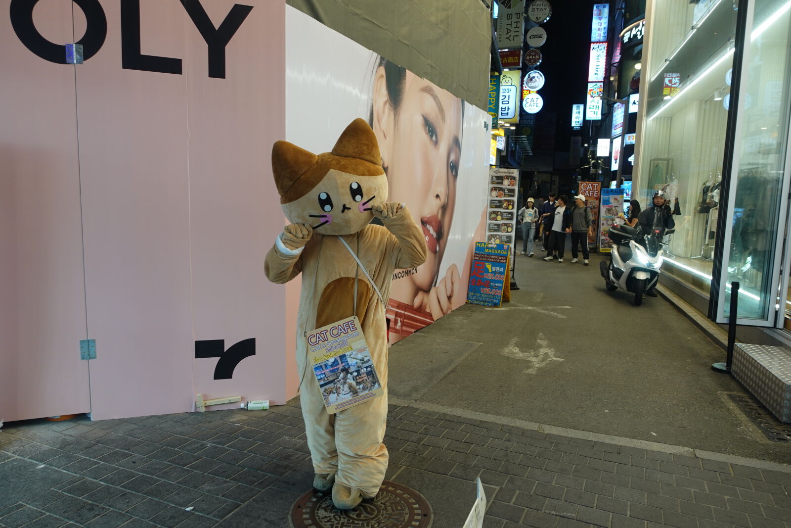 Sony ZV-1 sample photo