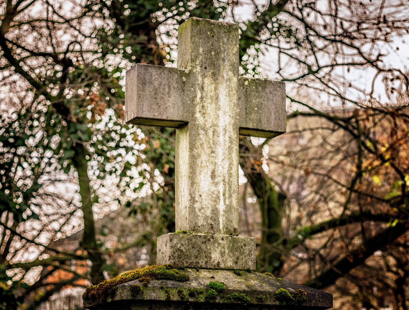 Nikon D3300 sample photo. Stone, cross, cemetery, tree photography