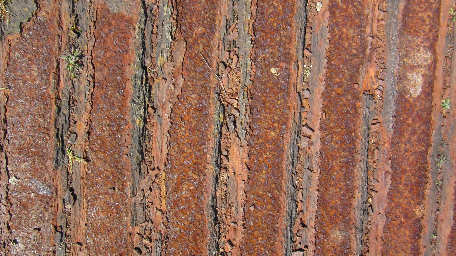 Canon PowerShot SX600 HS sample photo. Rust, texture, soil photography