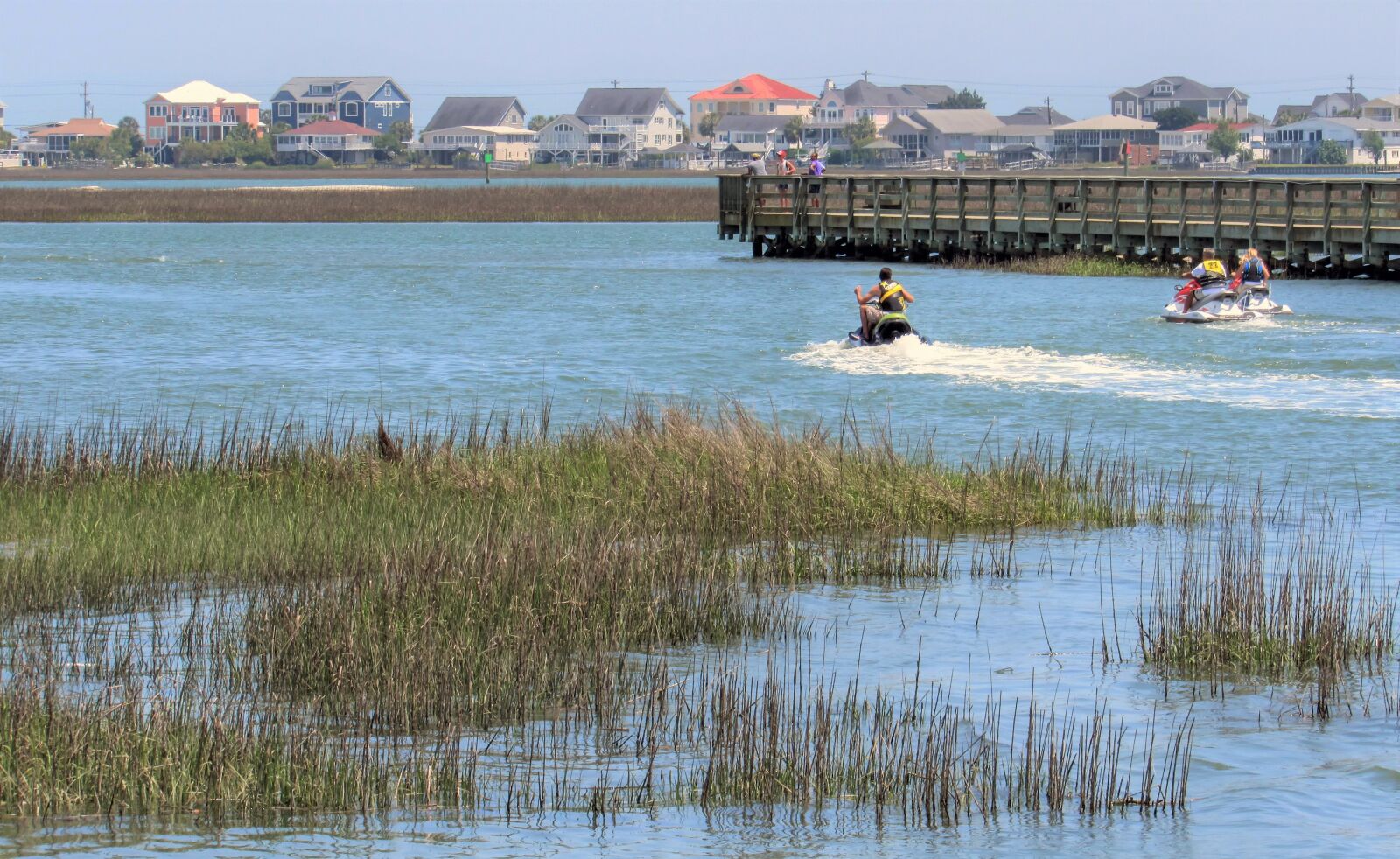 Canon PowerShot SX530 HS sample photo. Marsh, water, nature photography