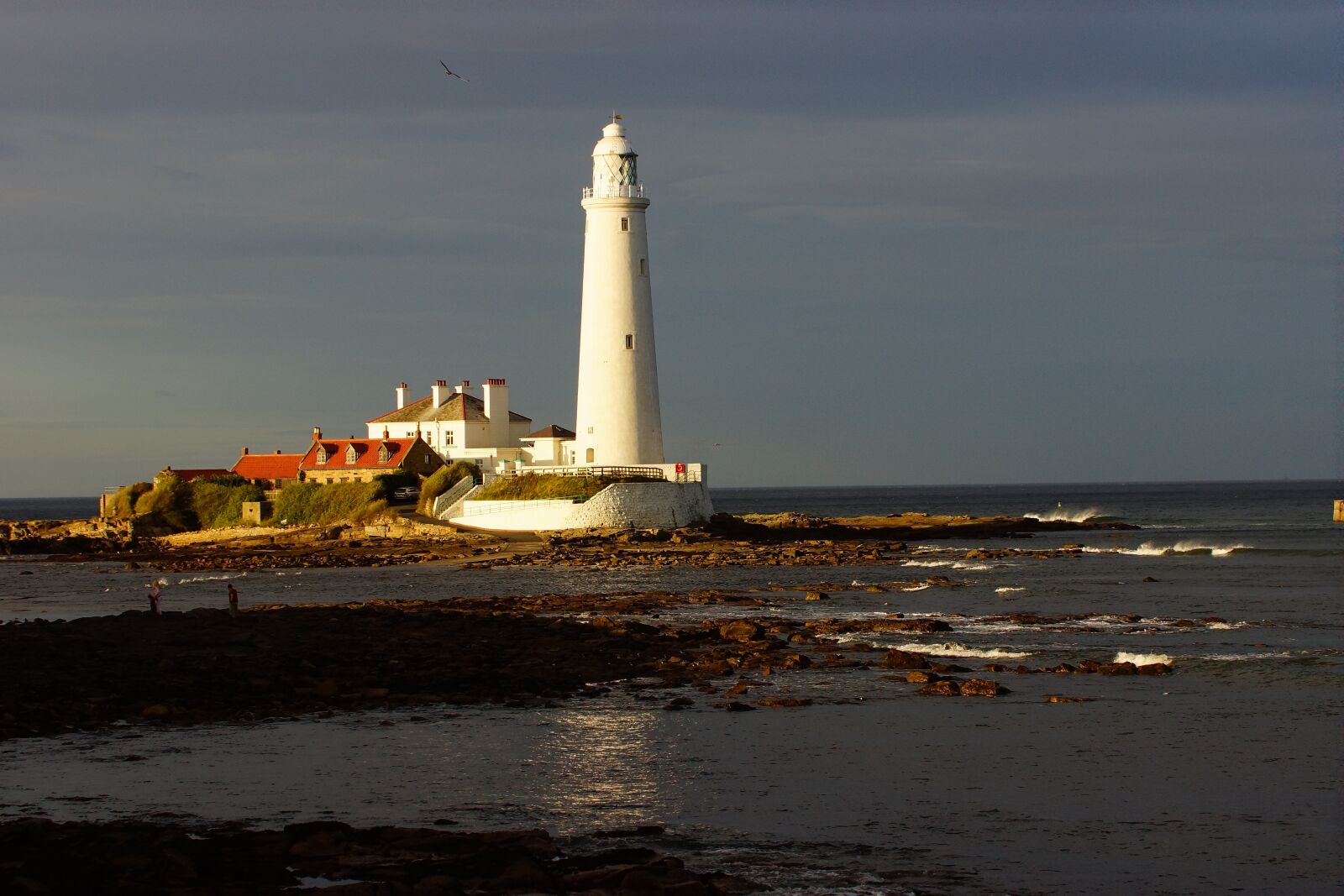 Sony SLT-A77 sample photo. Lighthouse, st marys lighthouse photography