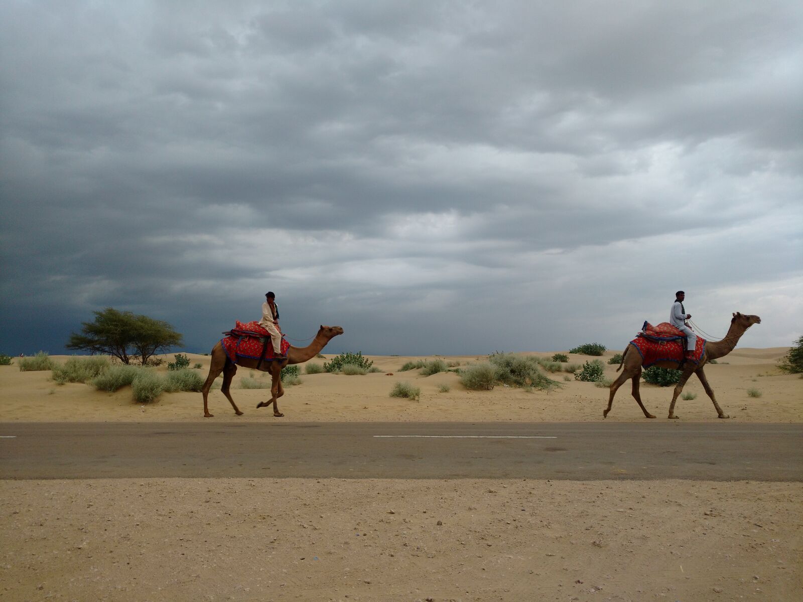 Motorola Moto X Play sample photo. Camel, clouds, desert, desertification photography