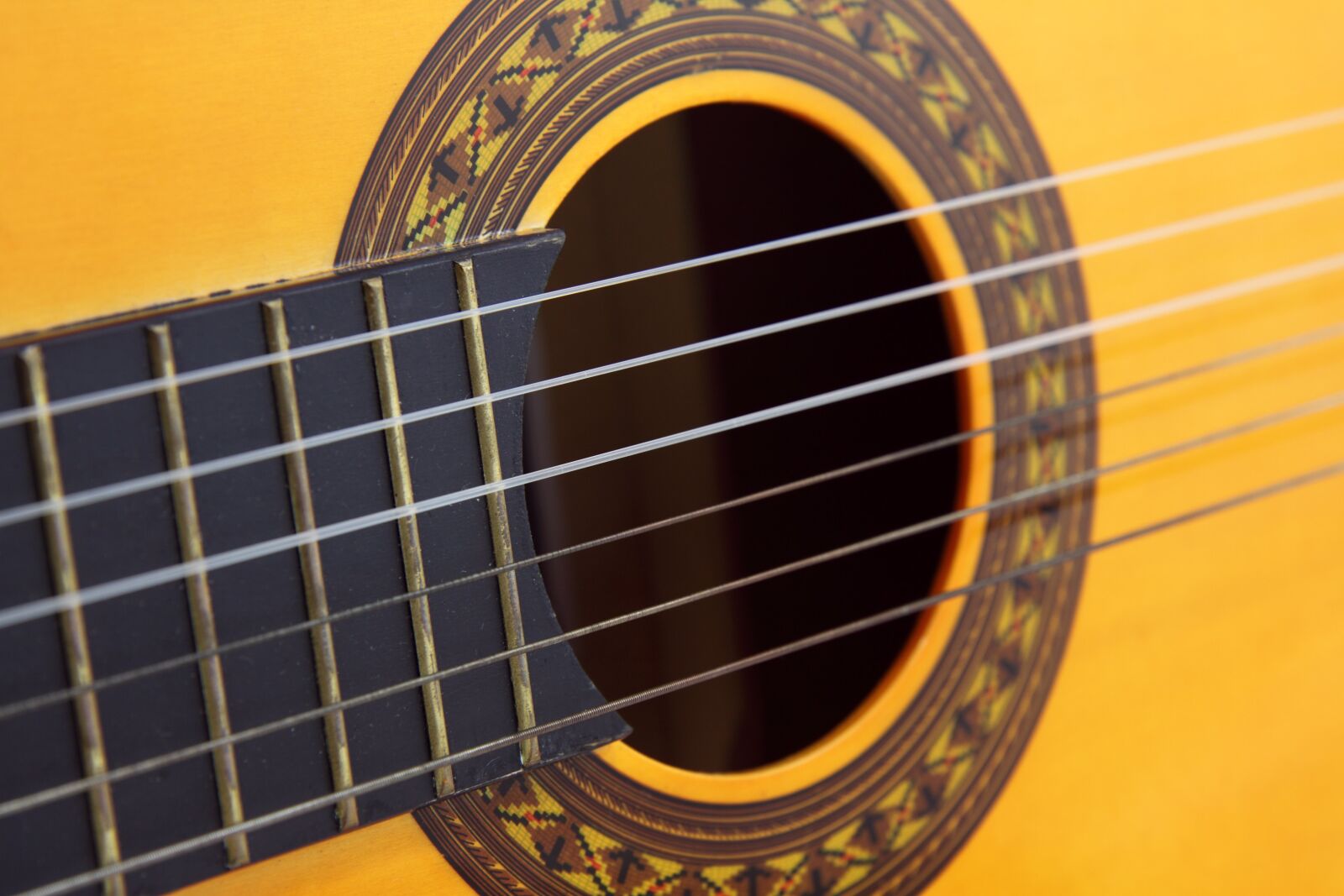 Canon EOS 50D sample photo. Acoustic, band, brown, classic photography