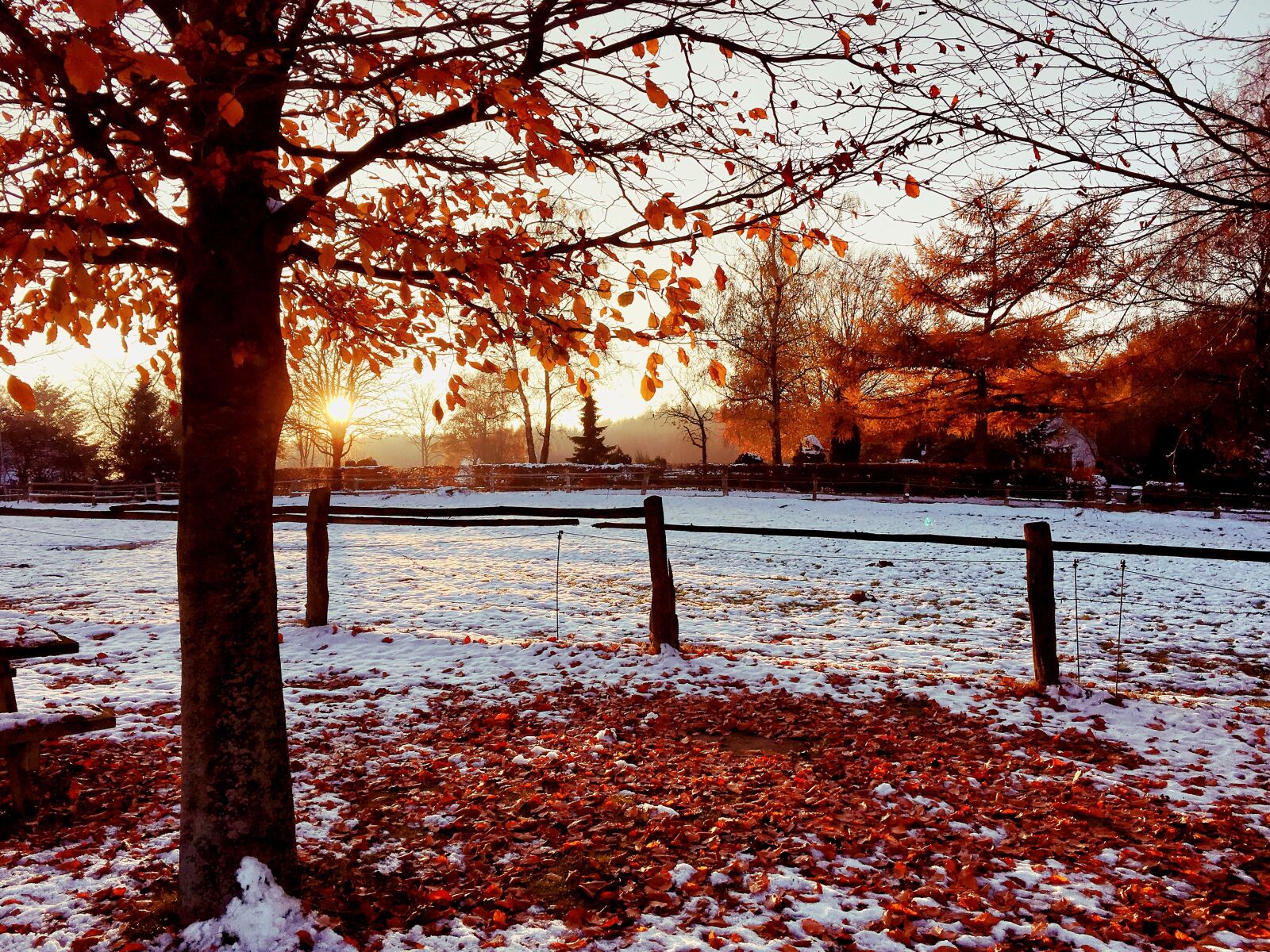 Apple iPhone 6s sample photo. Sunset, snow, autumn photography