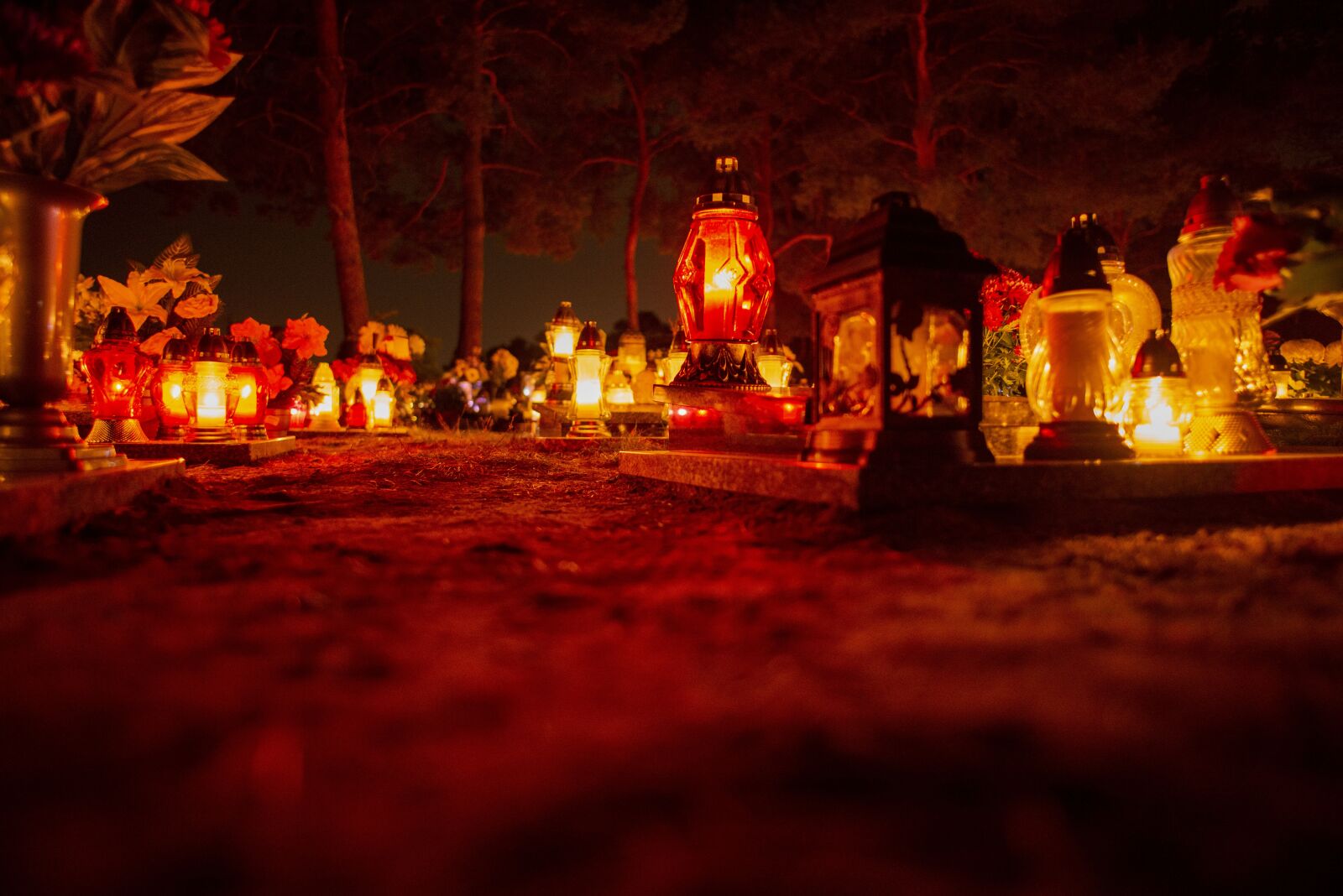 Nikon D800E sample photo. Night, cemetery, the tomb photography