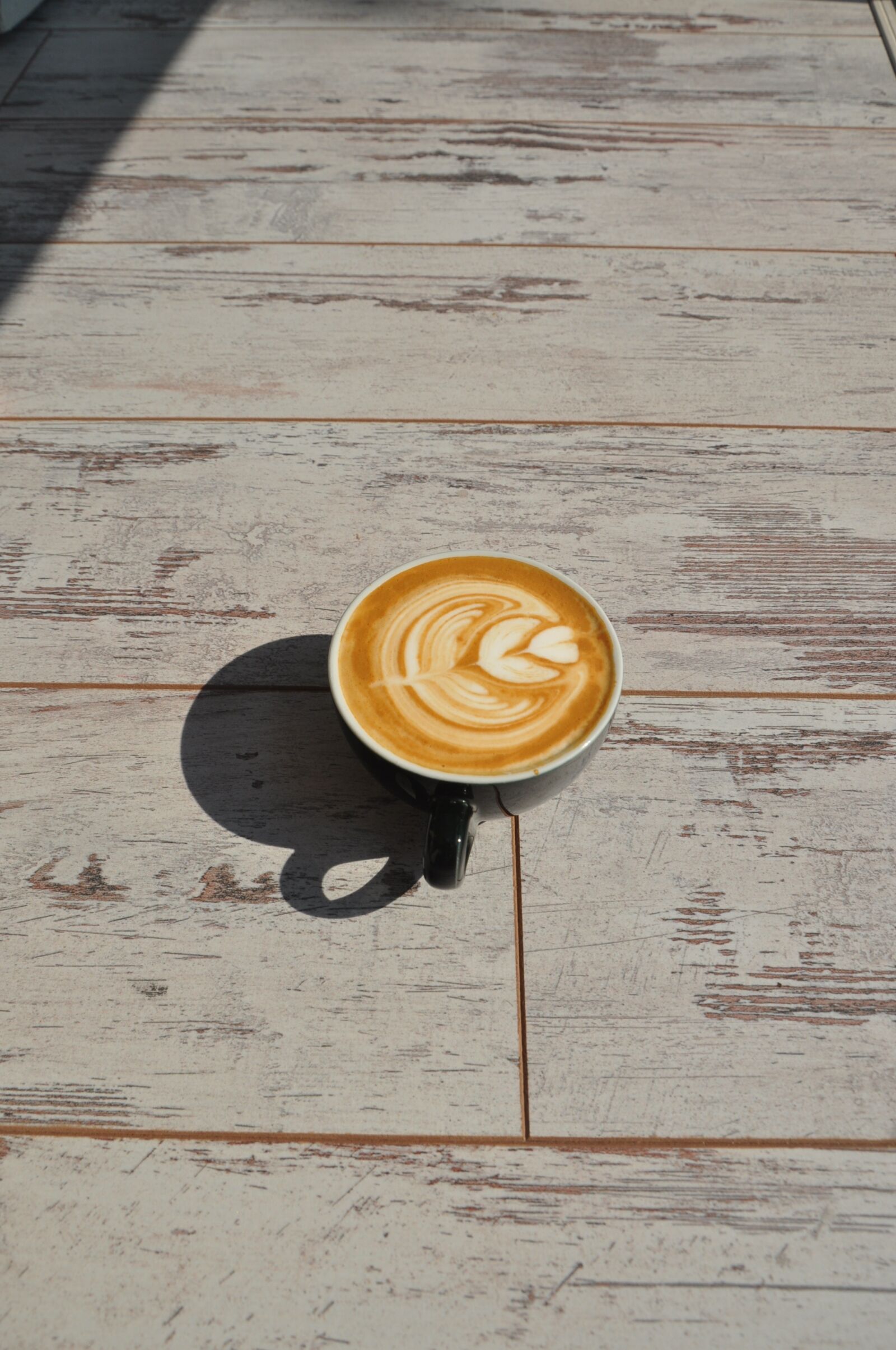 Nikon D5000 sample photo. Coffee, bean, seed photography