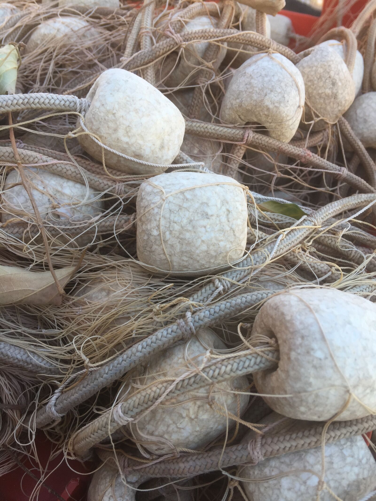 iPhone 6 Plus back camera 4.15mm f/2.2 sample photo. Fish, net, fisher, fishing photography