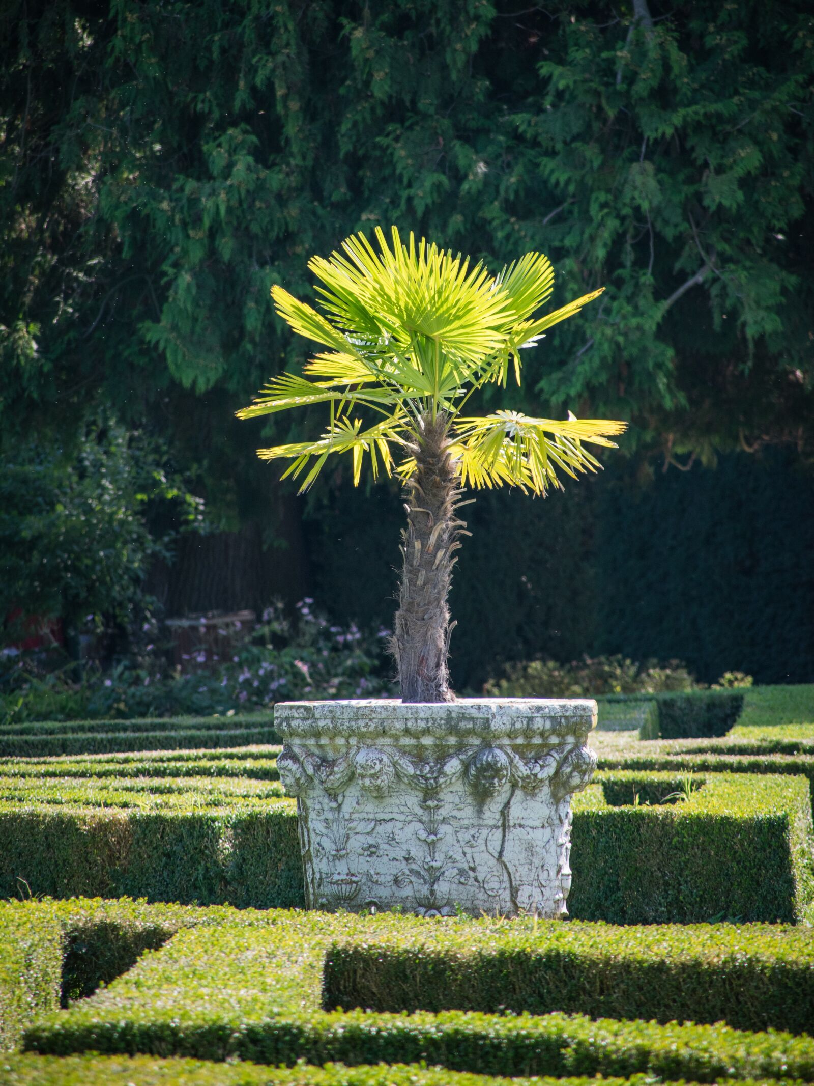 Nikon D5300 sample photo. Architecture, park, historically photography