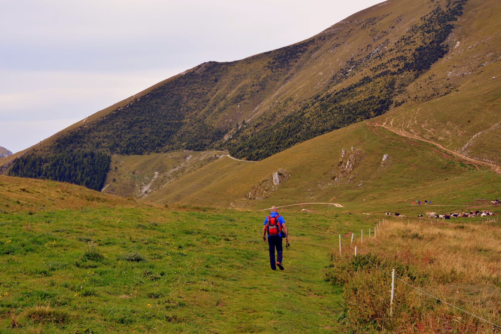 Nikon D7100 sample photo. Hiking, trail, walk photography