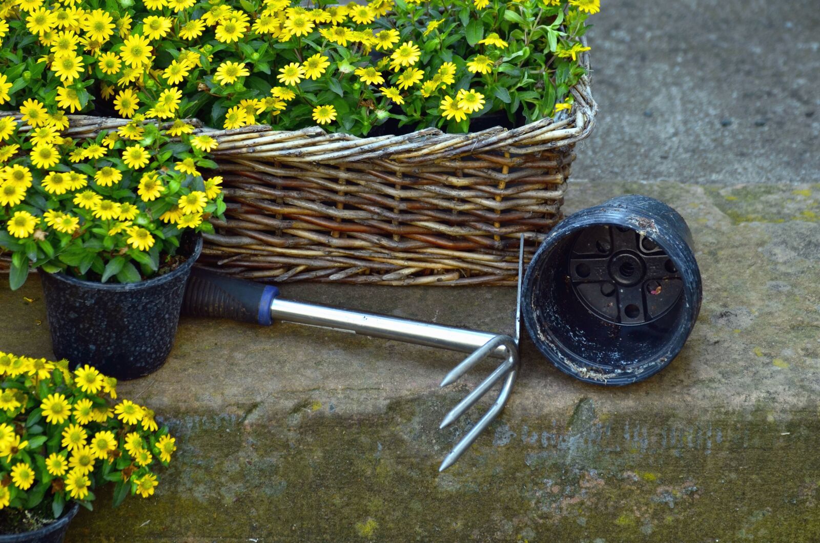 Nikon D5100 sample photo. Hoe, flowers, basket, pot photography