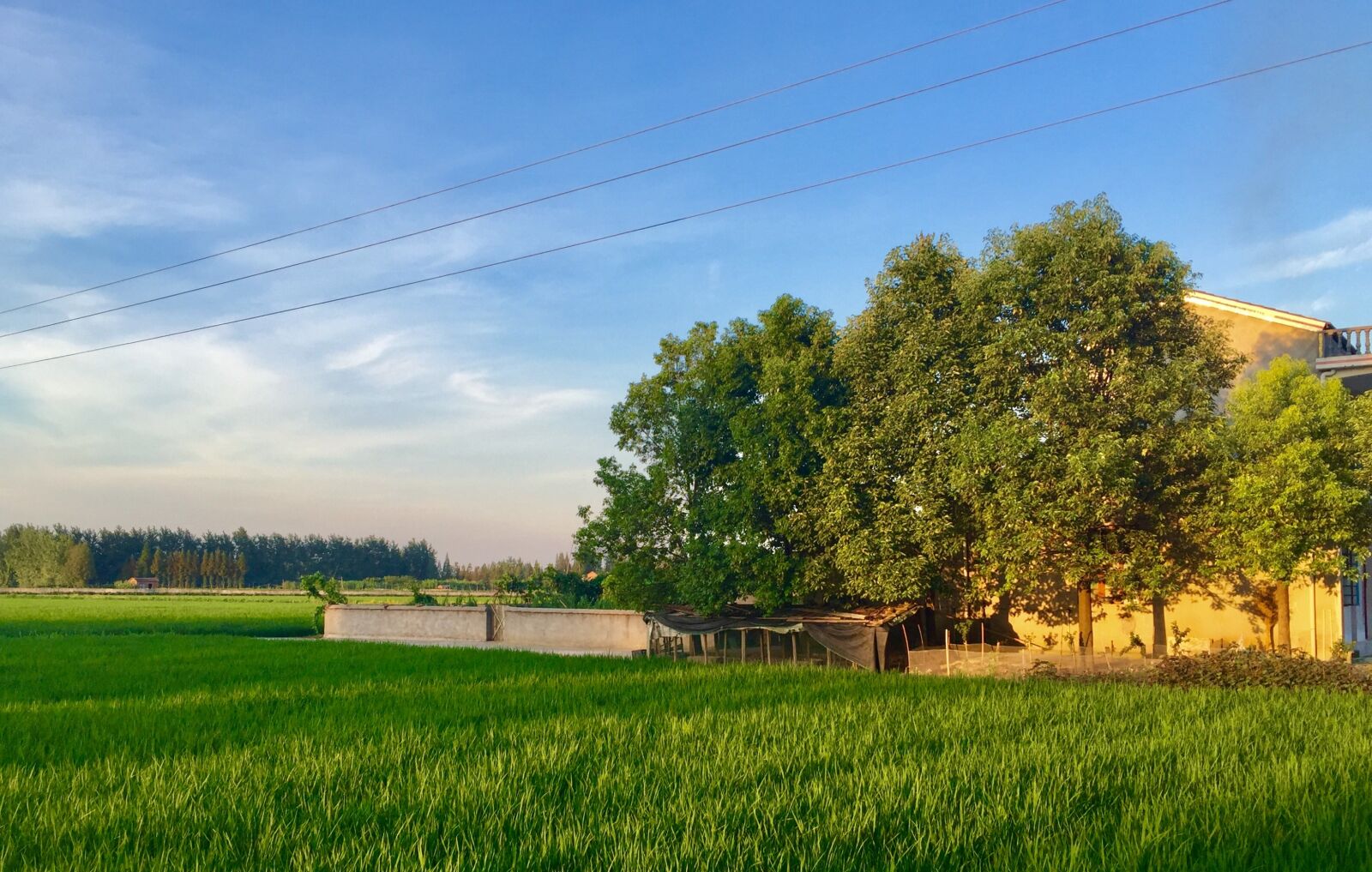 Apple iPhone 6 sample photo. Home, ye tian, in photography